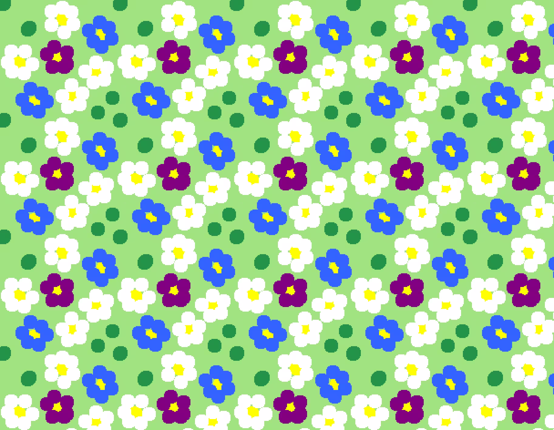 Colorful daisies 