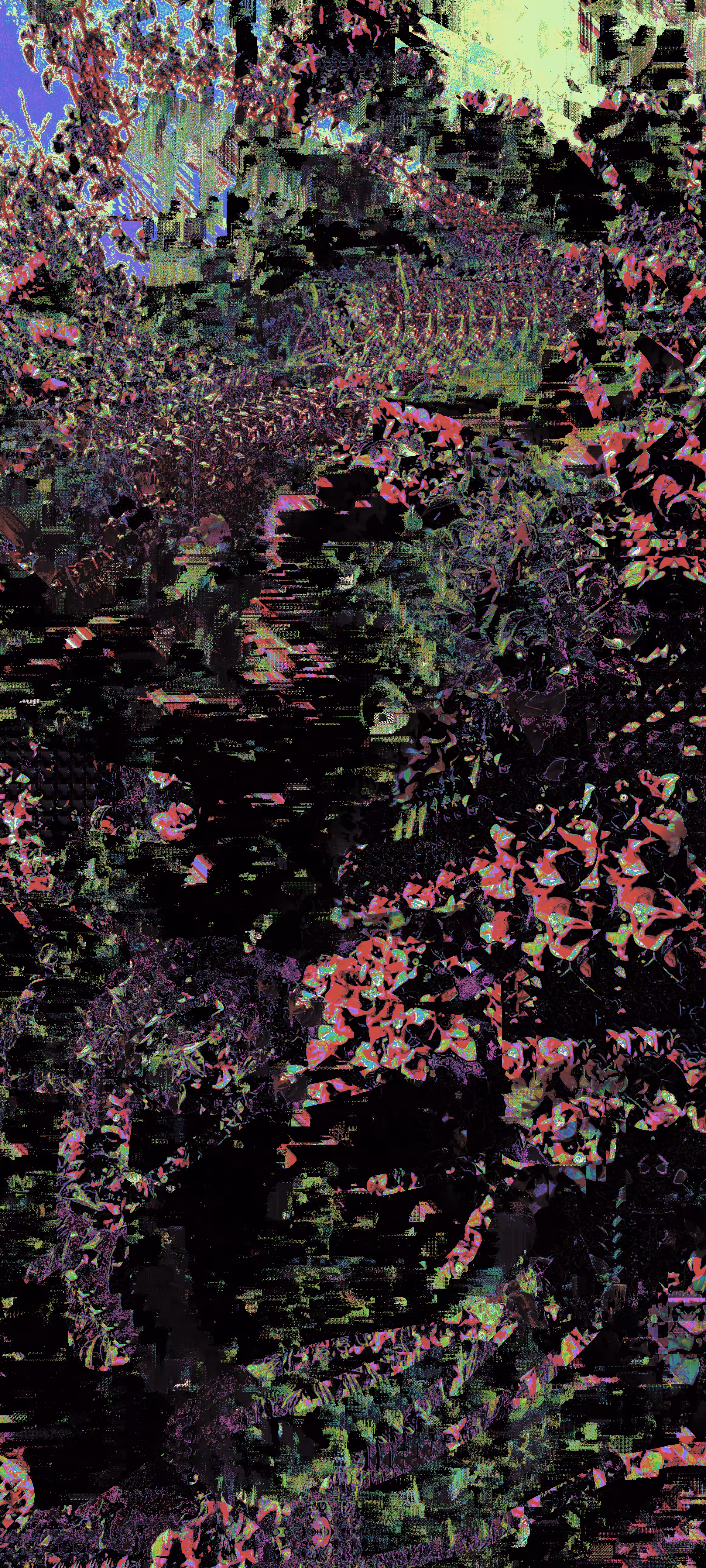 Flowers in my attic- "🍉"