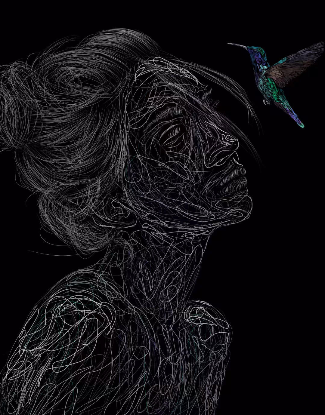 Hummingbird 
