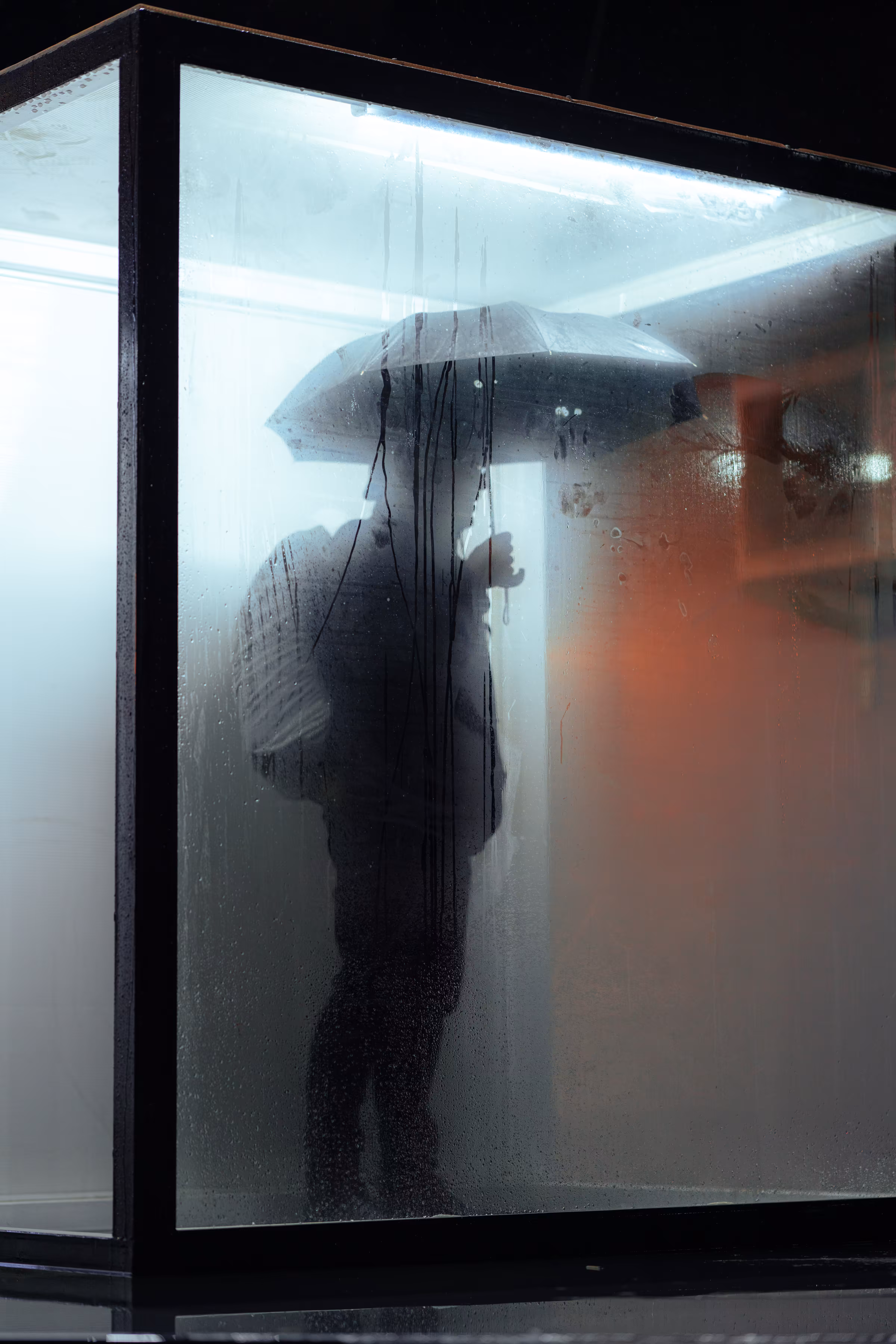 Trapped in Mist