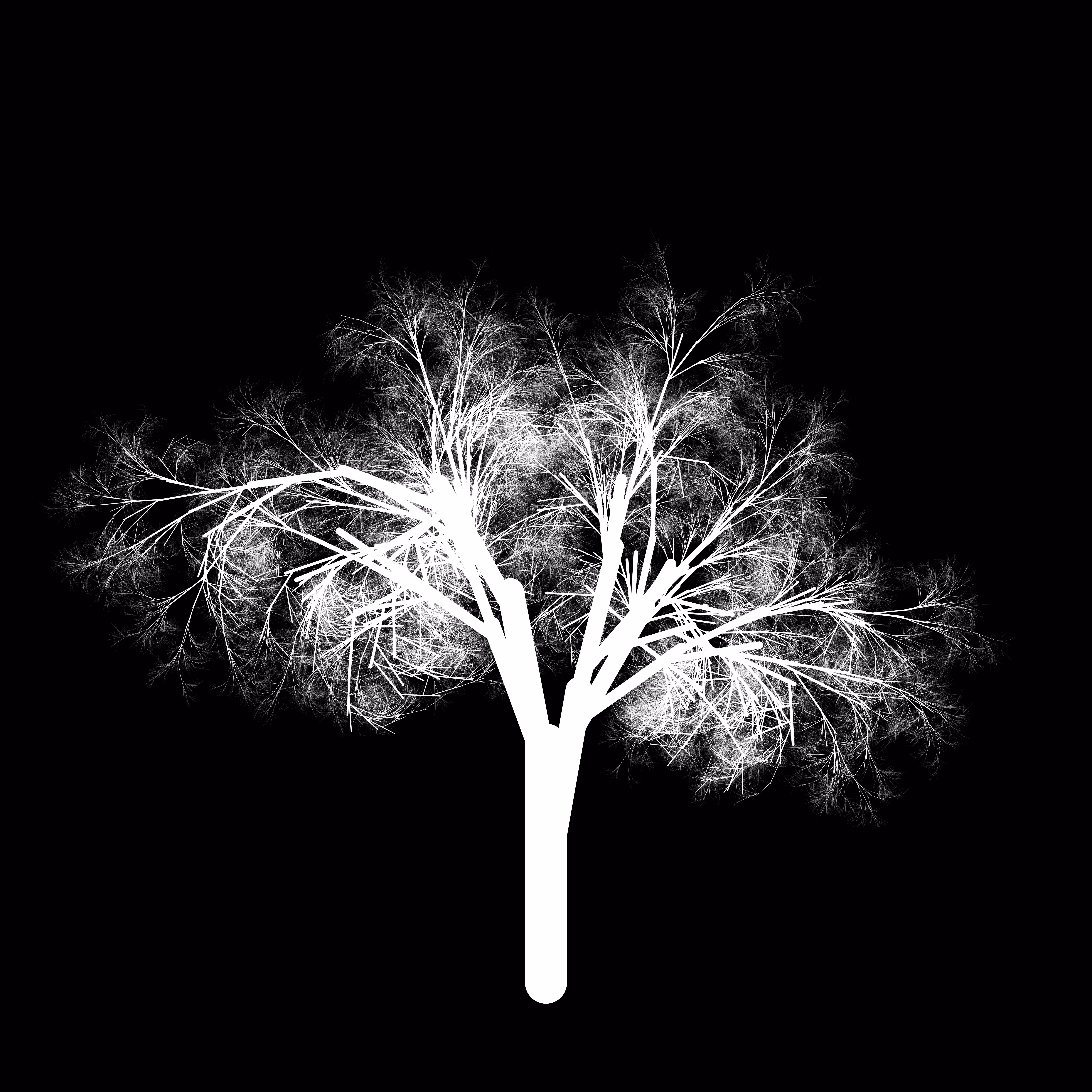 qTrees1 #336