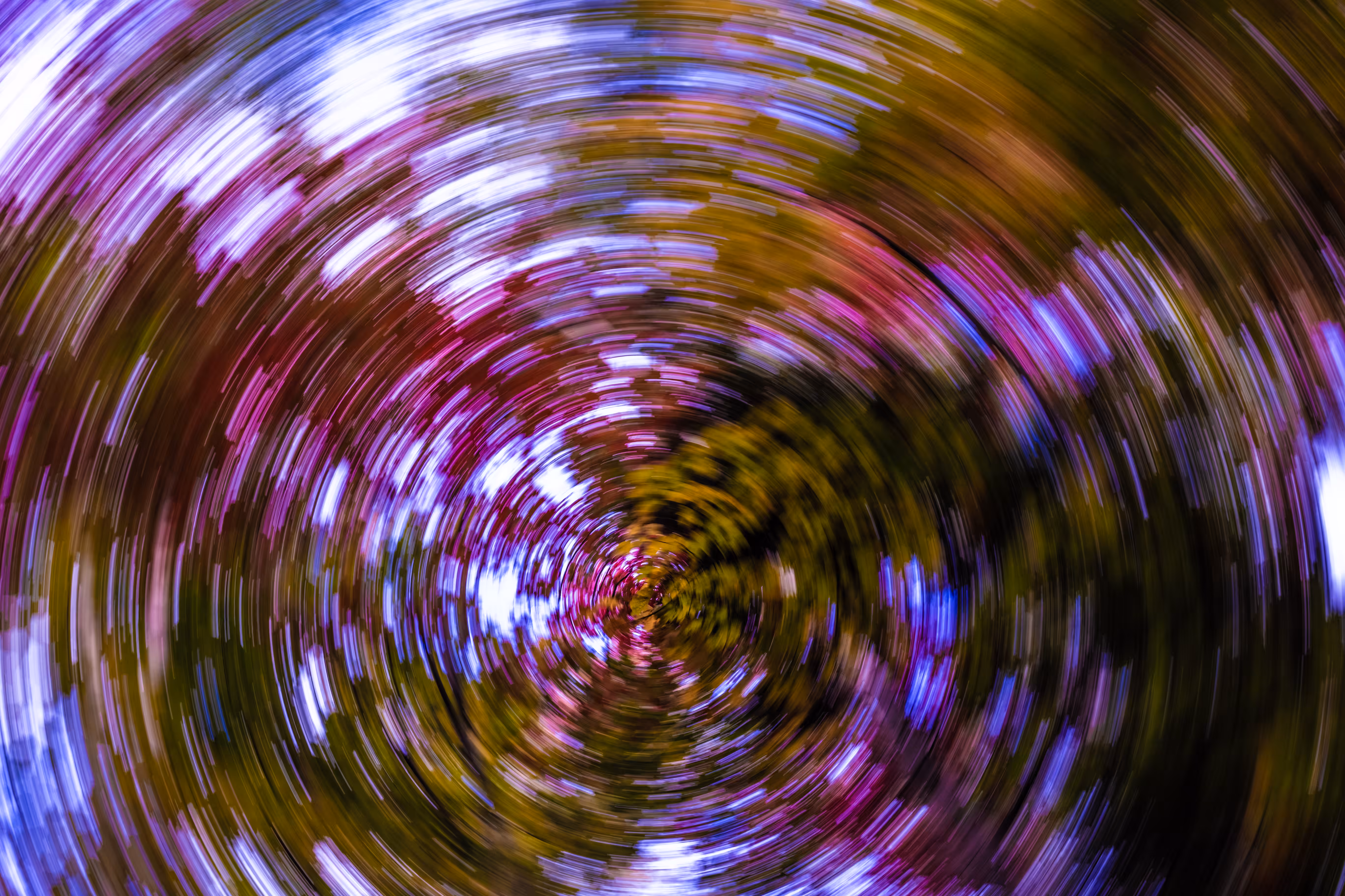 Tree Rings #44 - Kessel