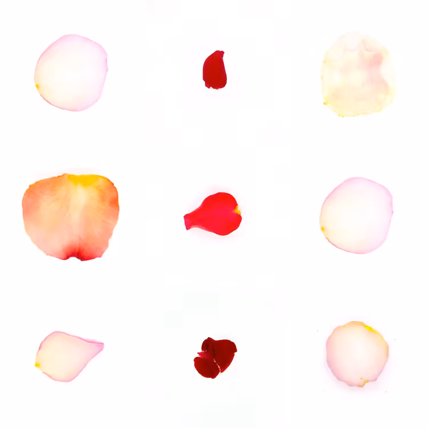 Infinite Petals 3x3#3207