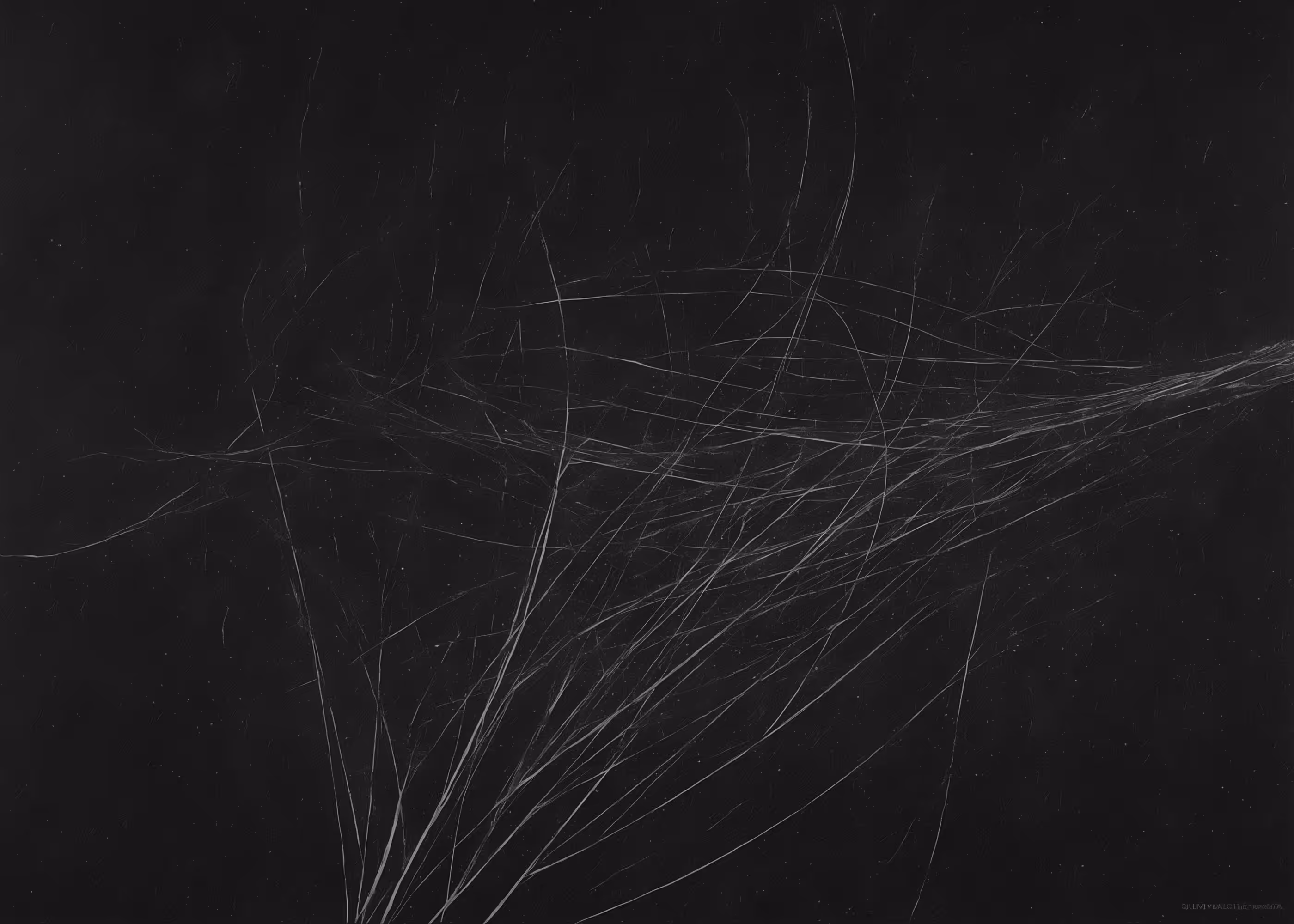 Lumens #53