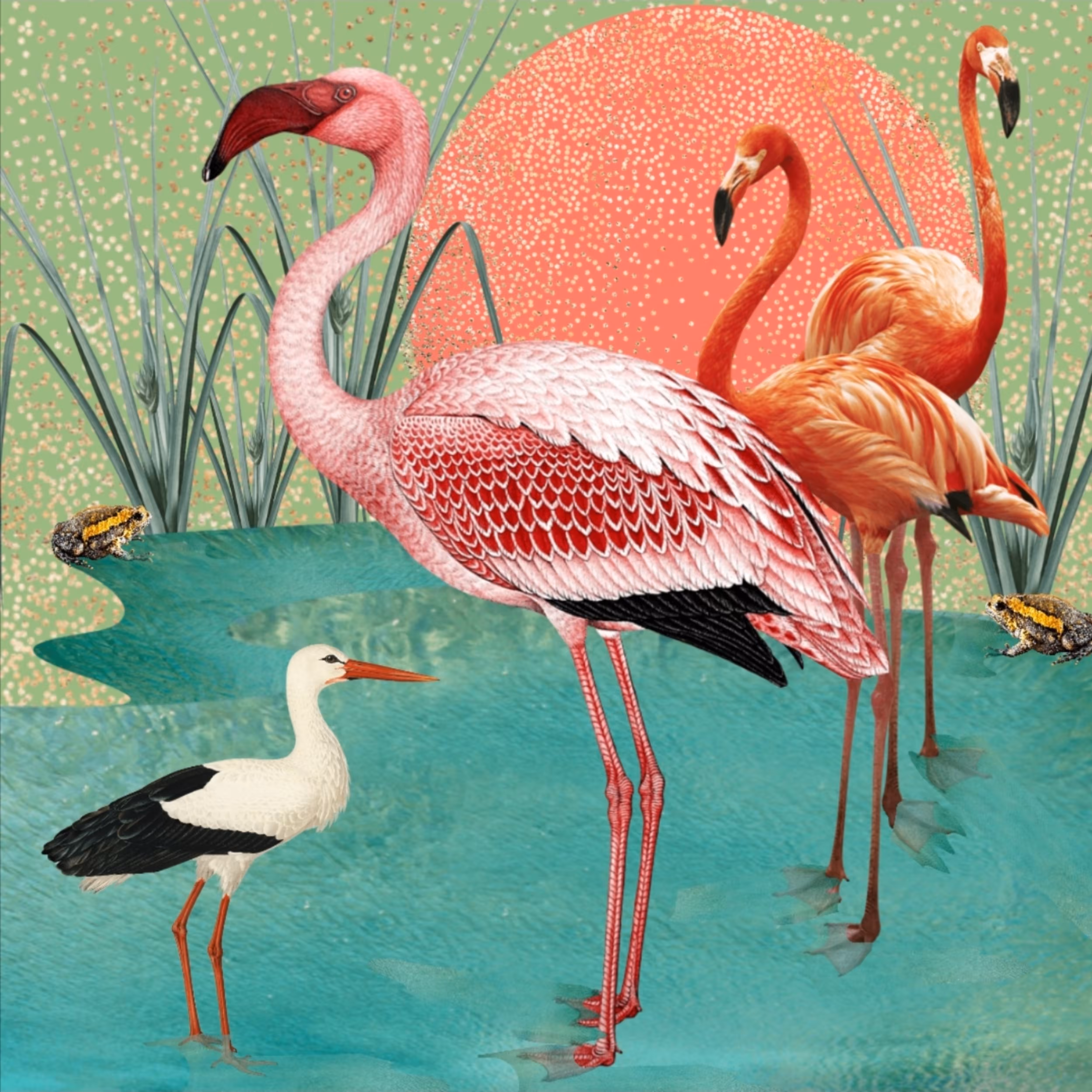 Pink Wetlands