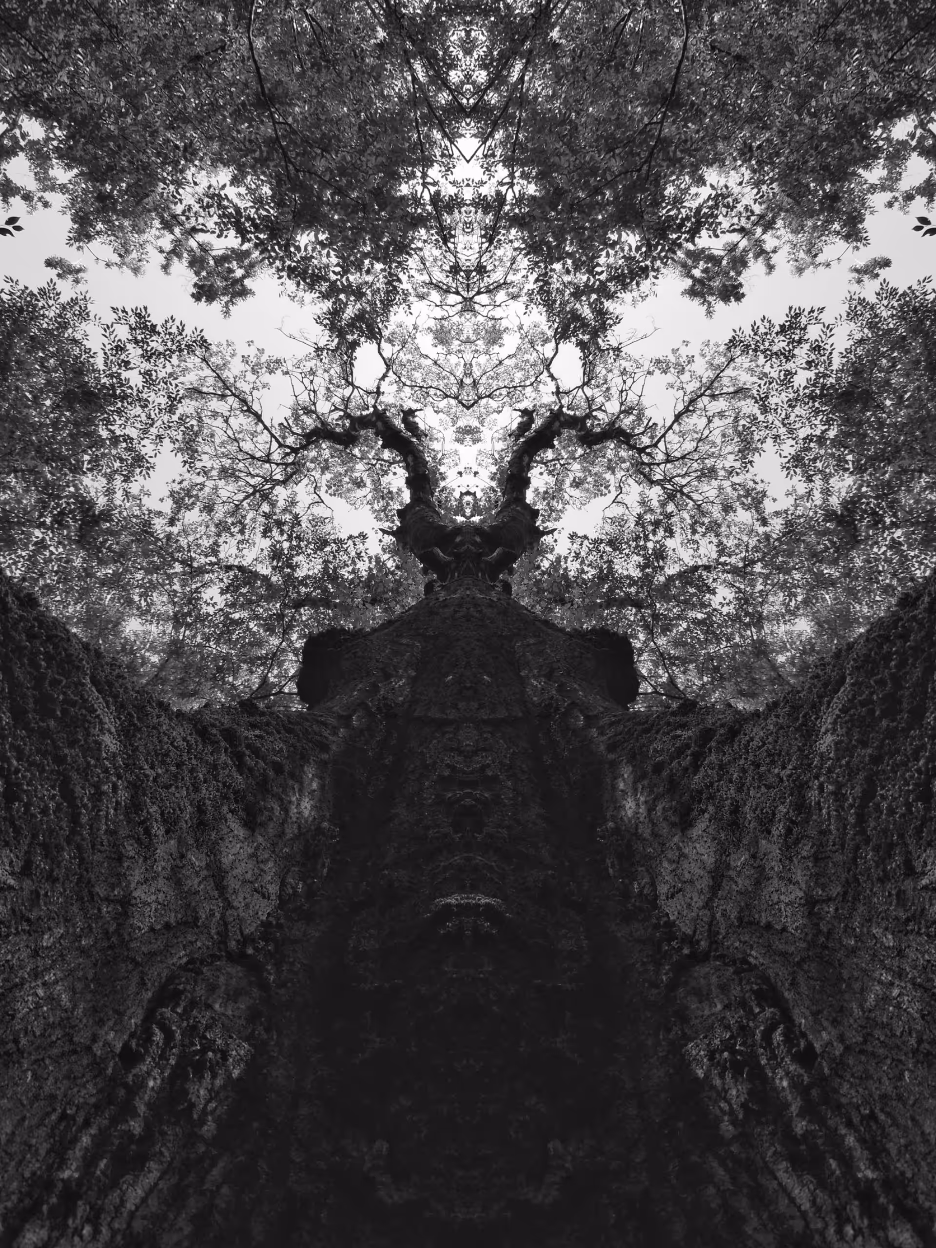 Devil Tree