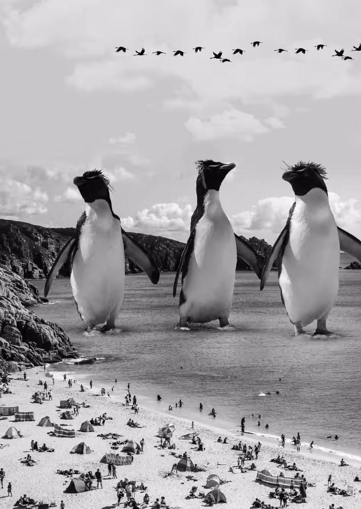 Penguins go  to  the Beach