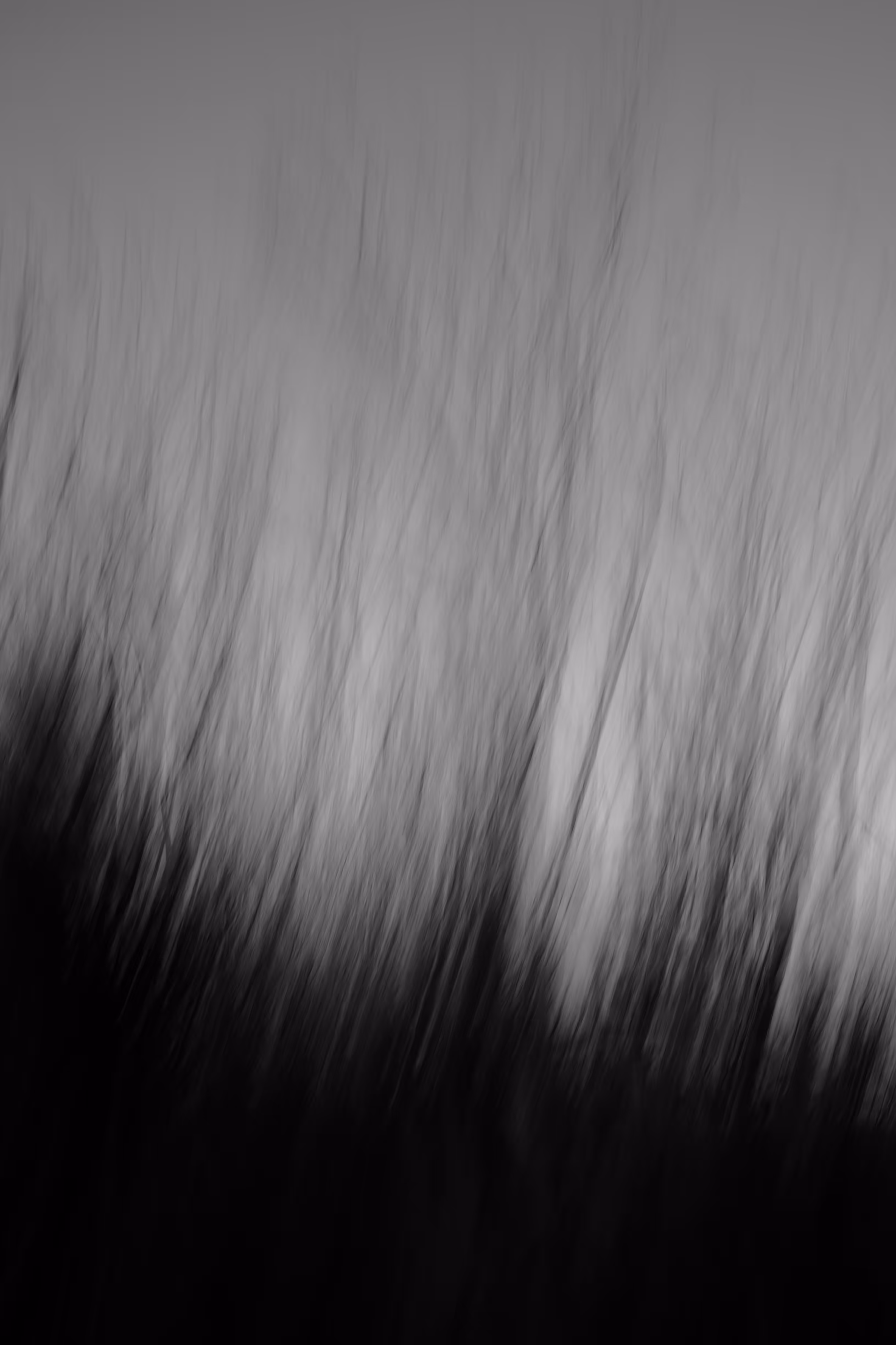 In the Long Grass