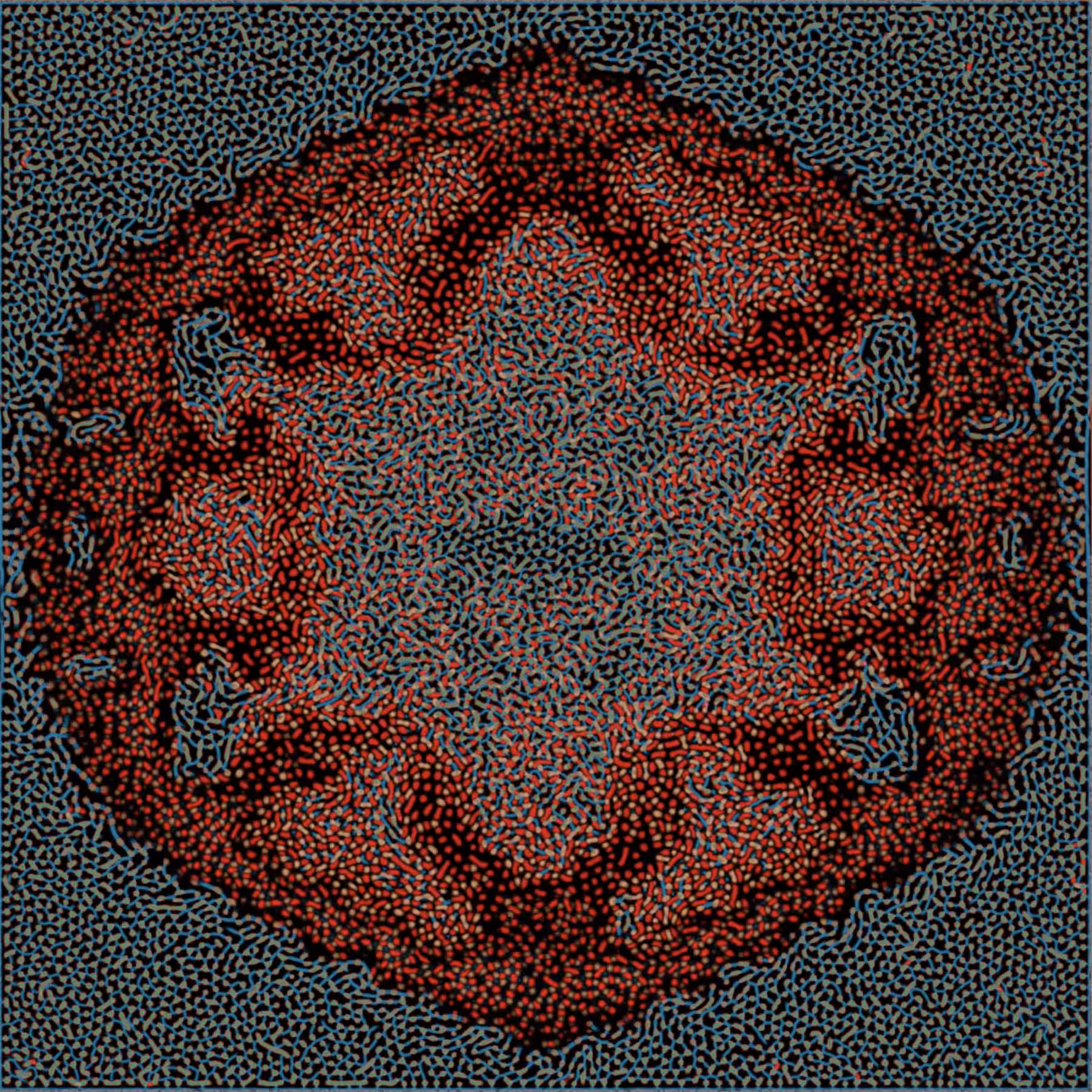 Arabesque NO.5