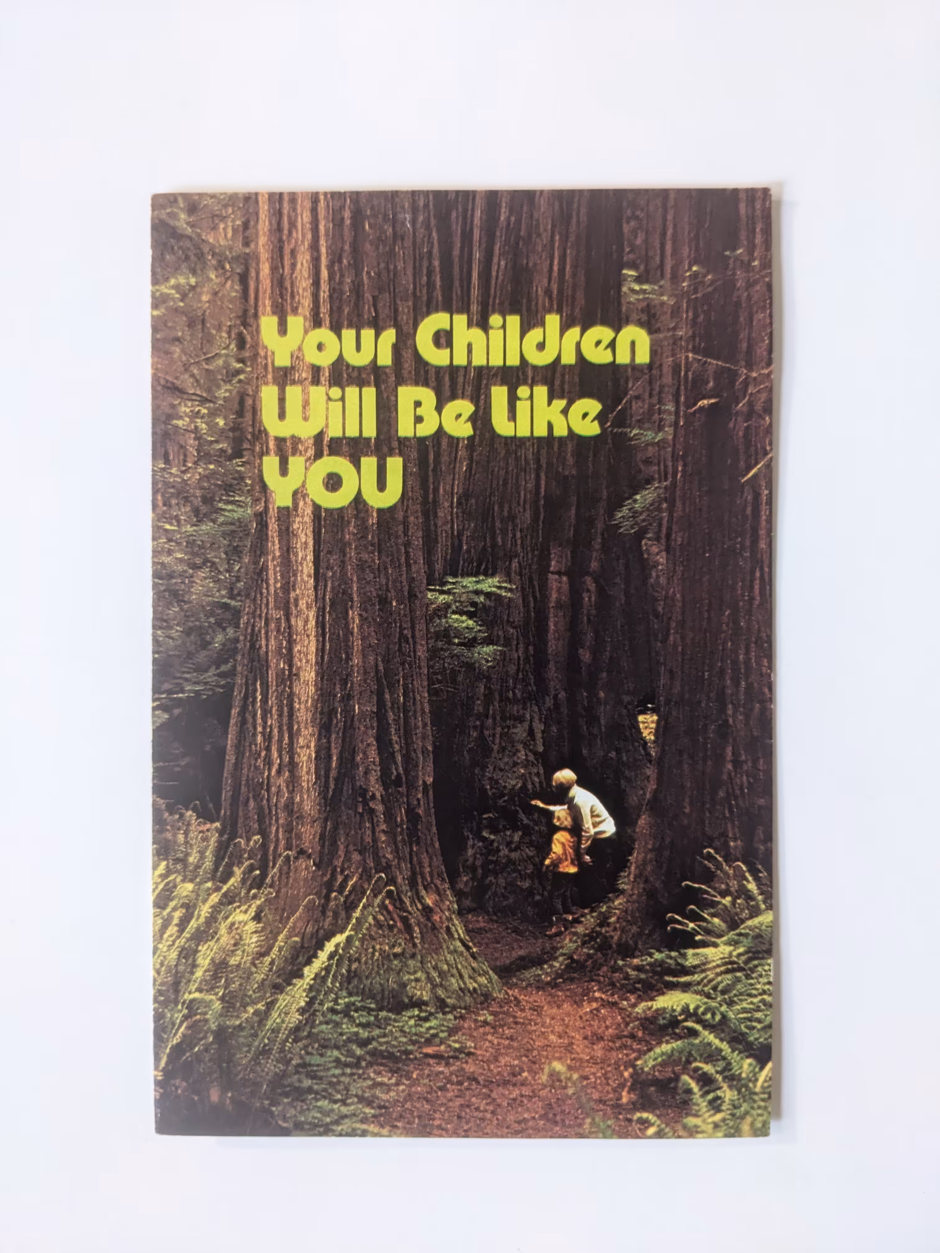 Your Children Will Be like YOU