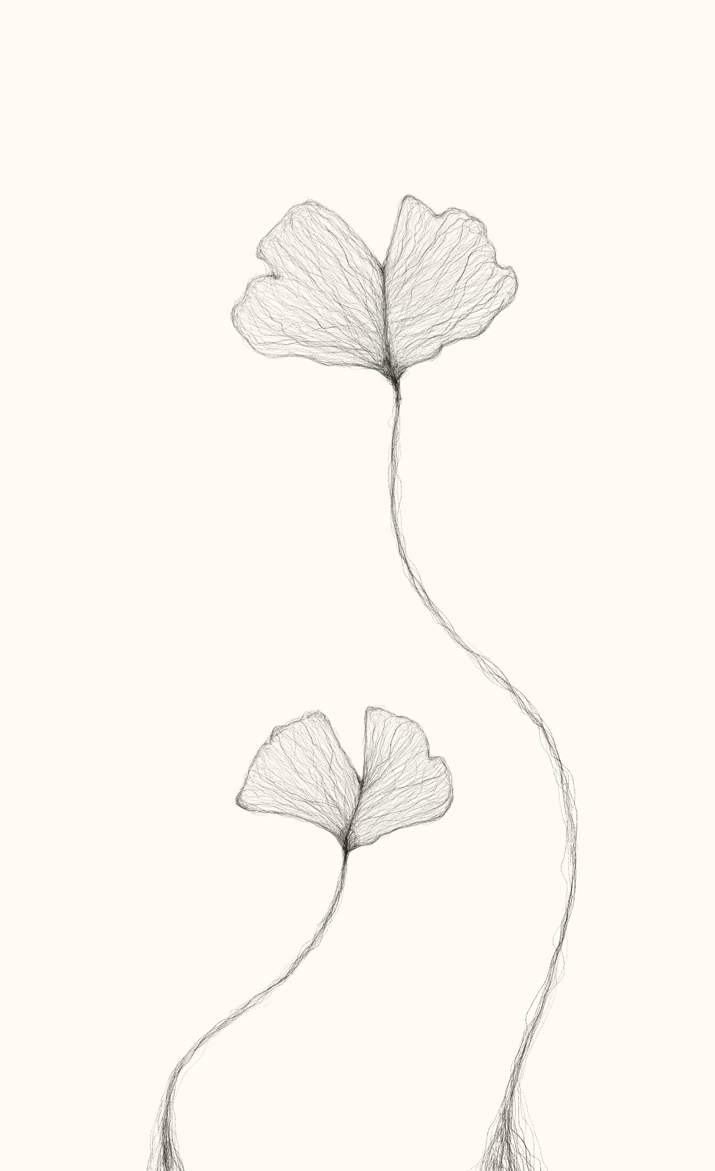Minimal n.3