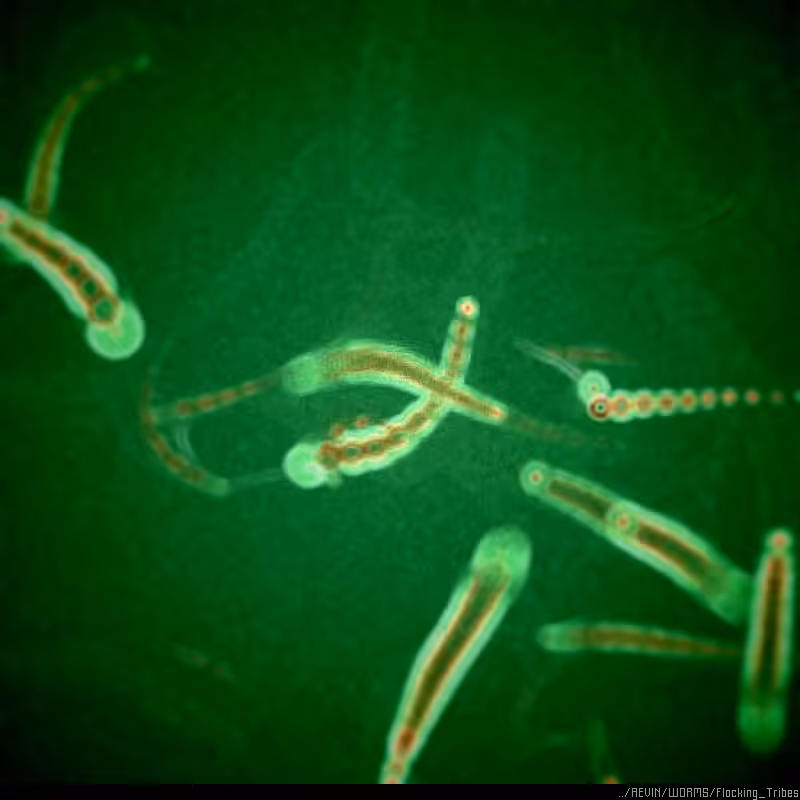 WORMS / Flocking Tribes #71