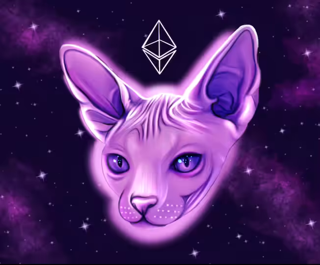 Galaxy sphynx cats