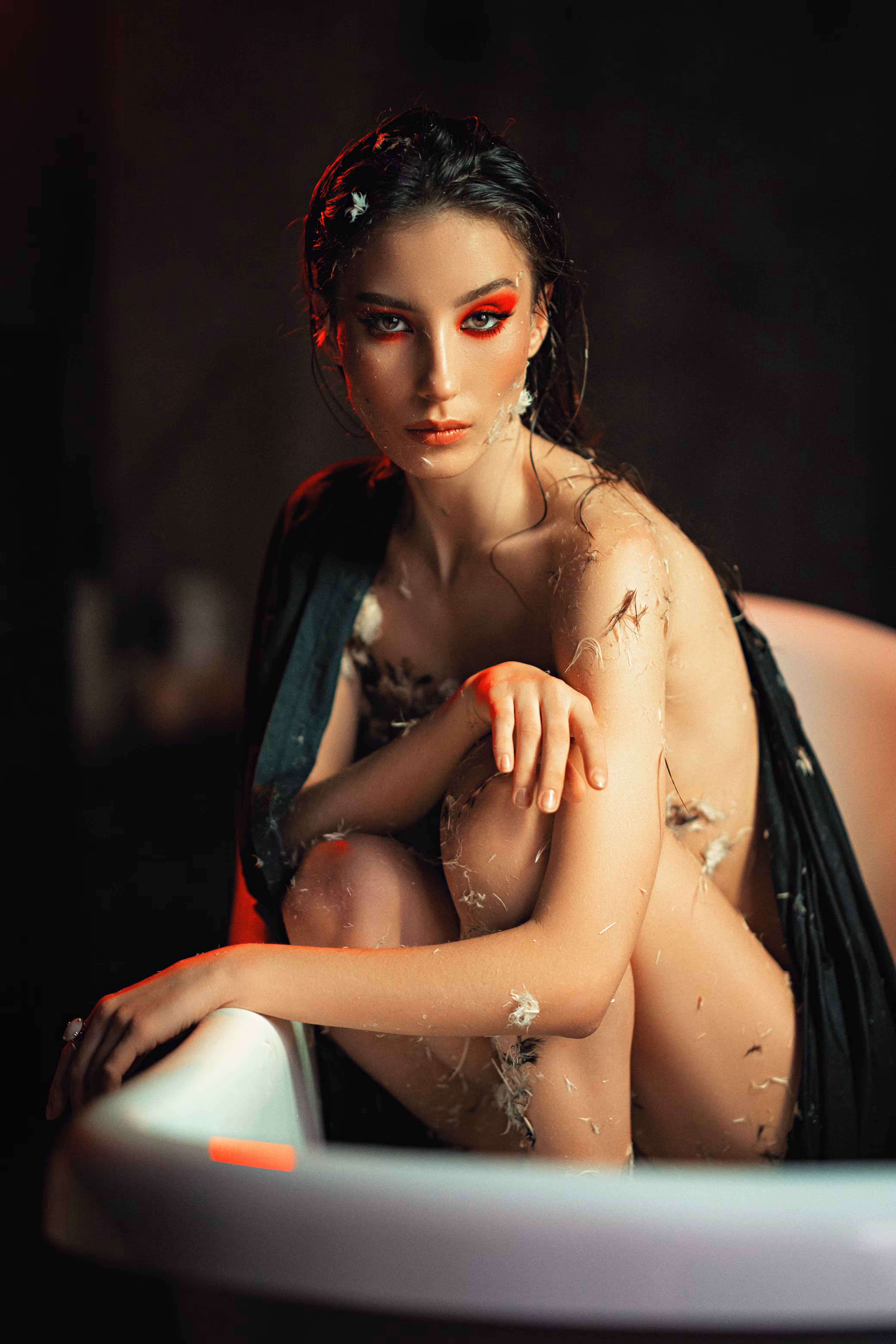 Swan