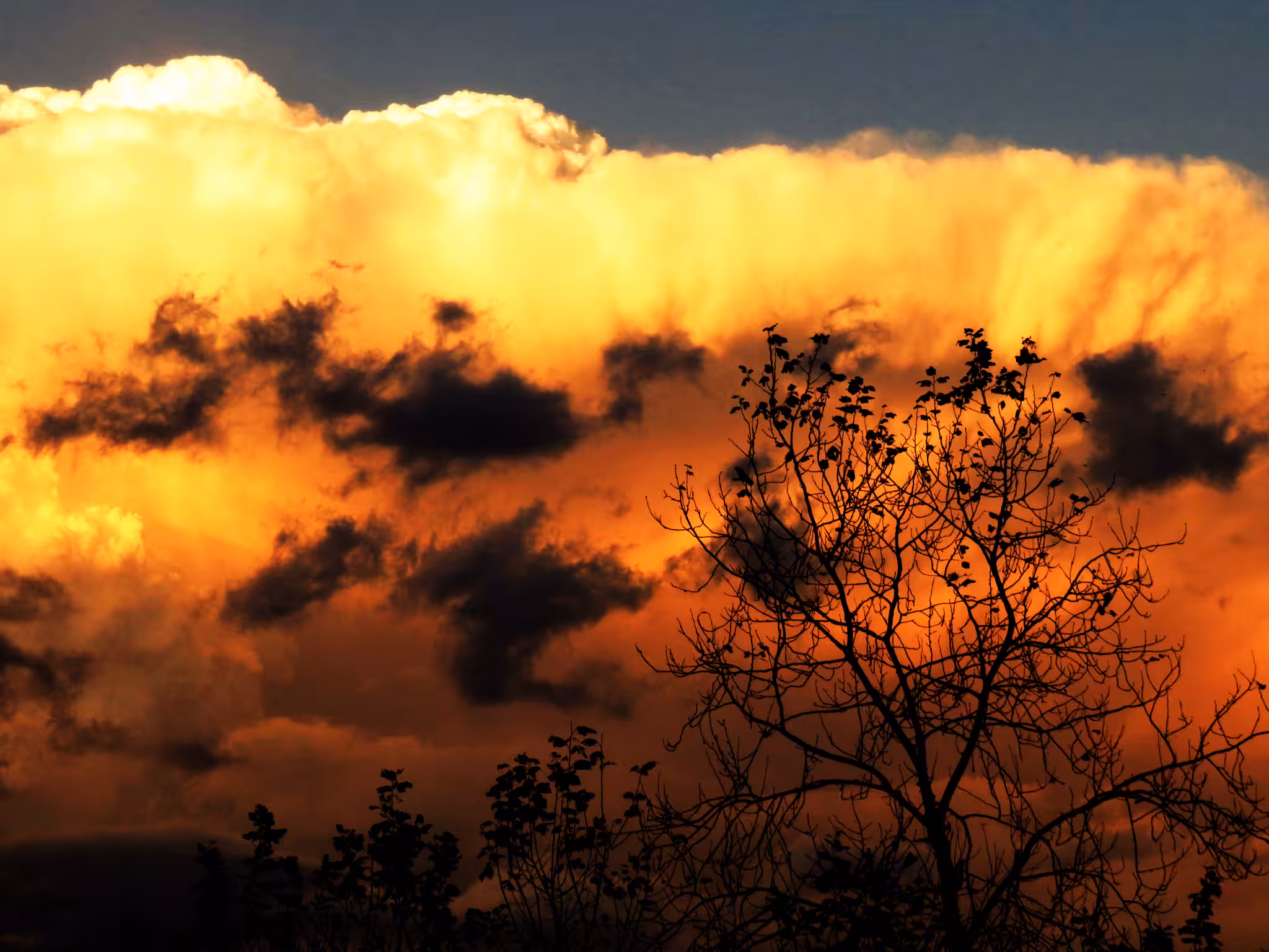 Mushroom Cloud 006
