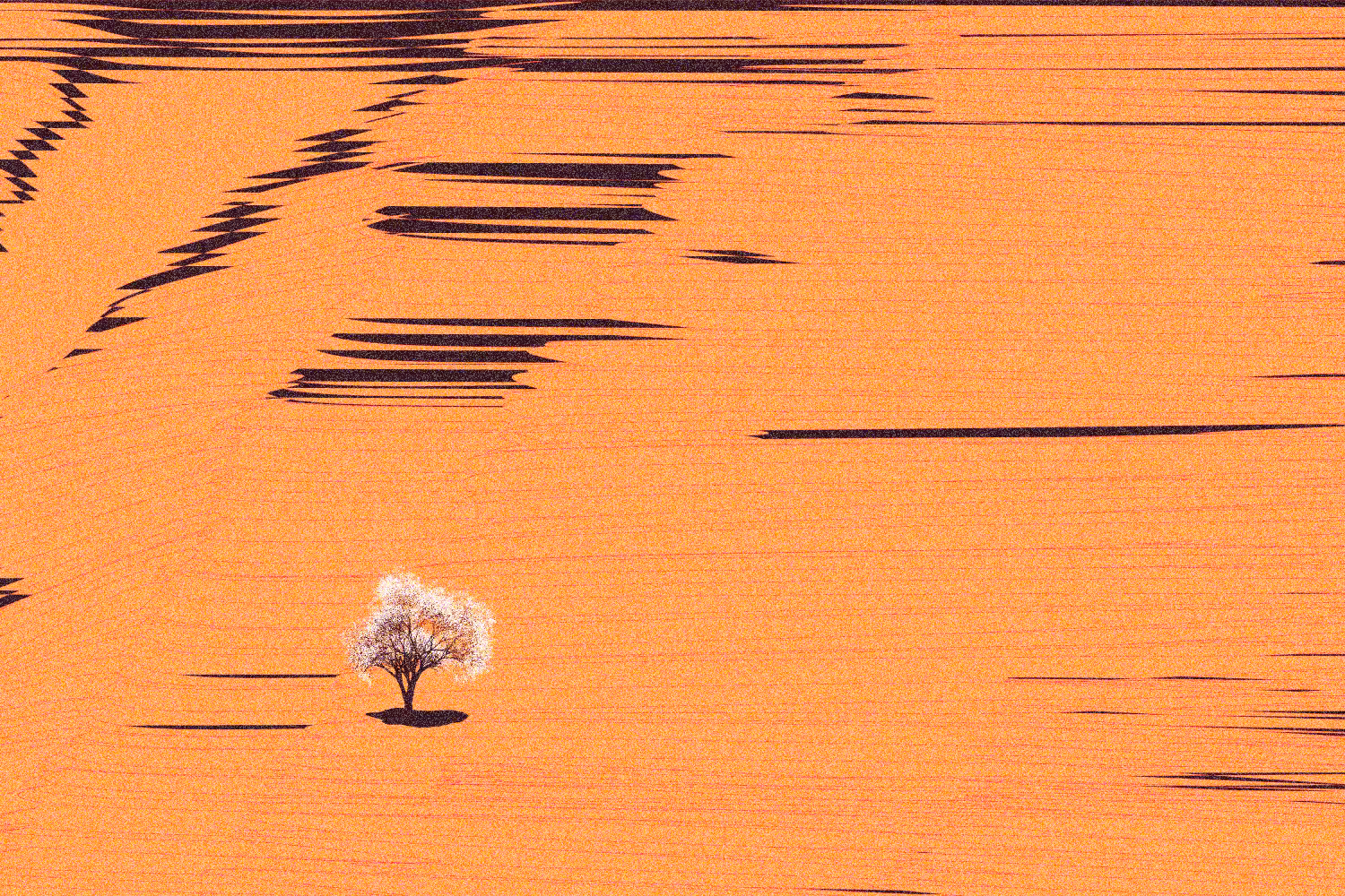 A tree in the distance