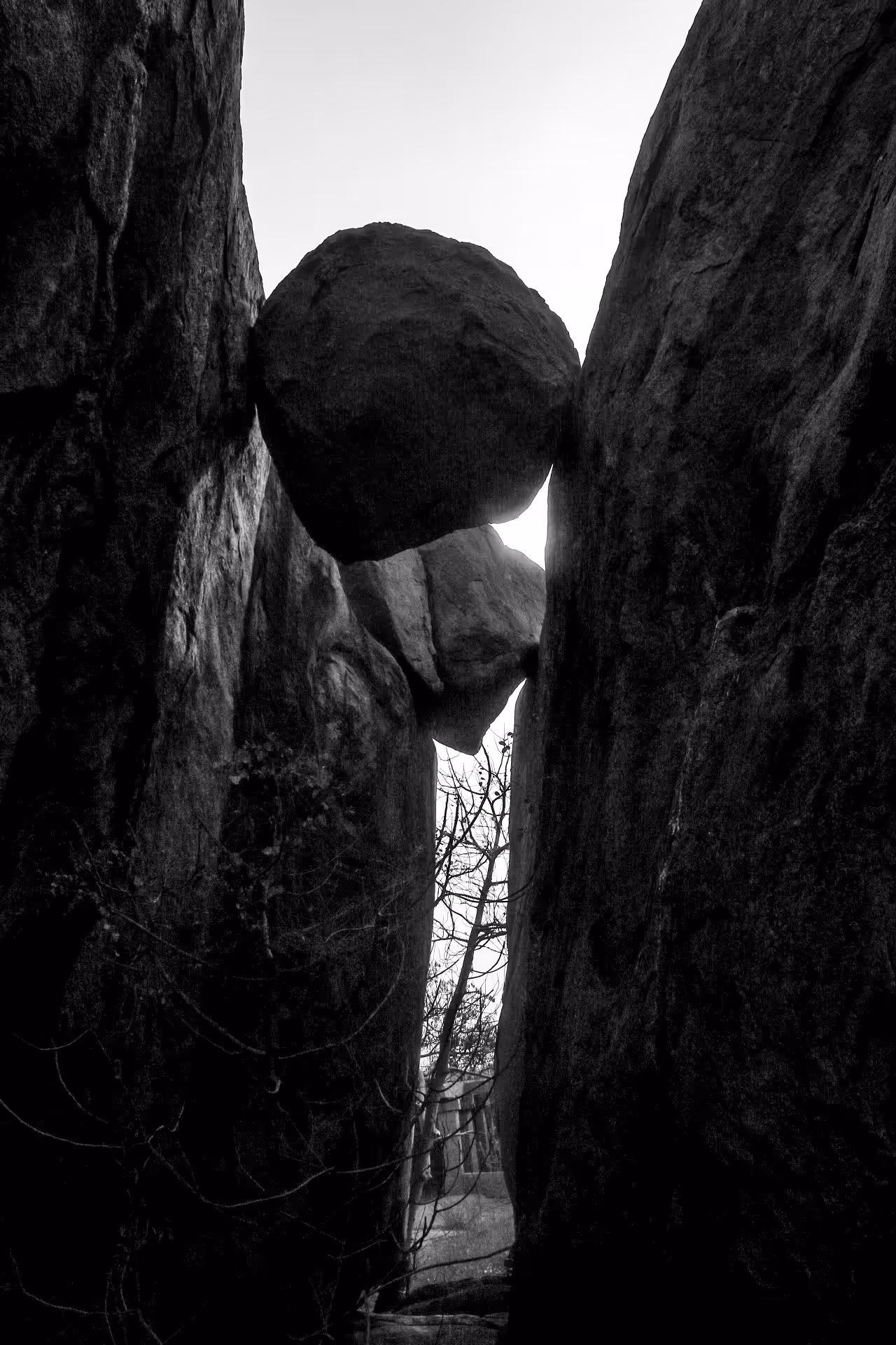 In the Grip of Time