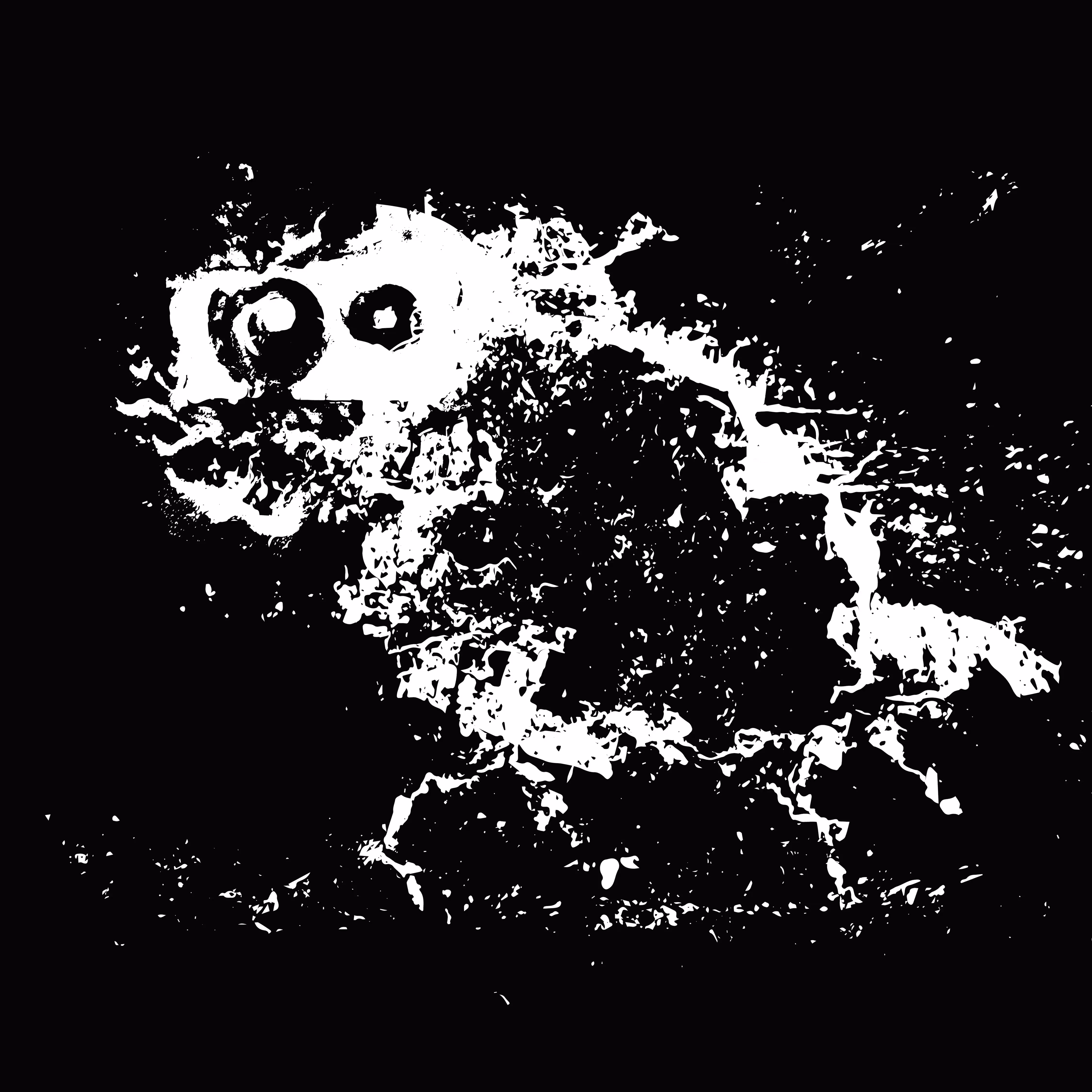Pareidolic illusion #003