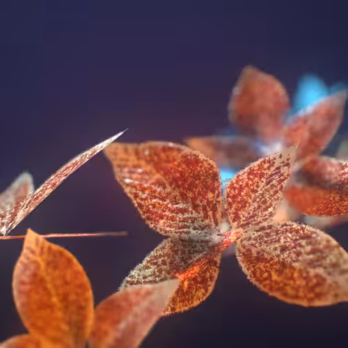 Frozen leaves