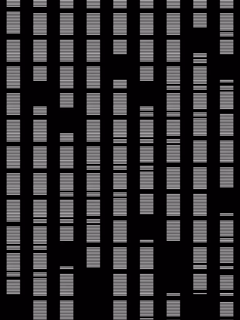 Data Columns