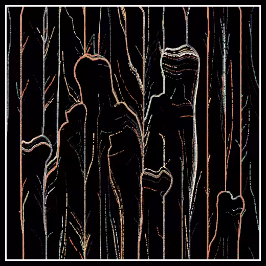 Observers' decline #47