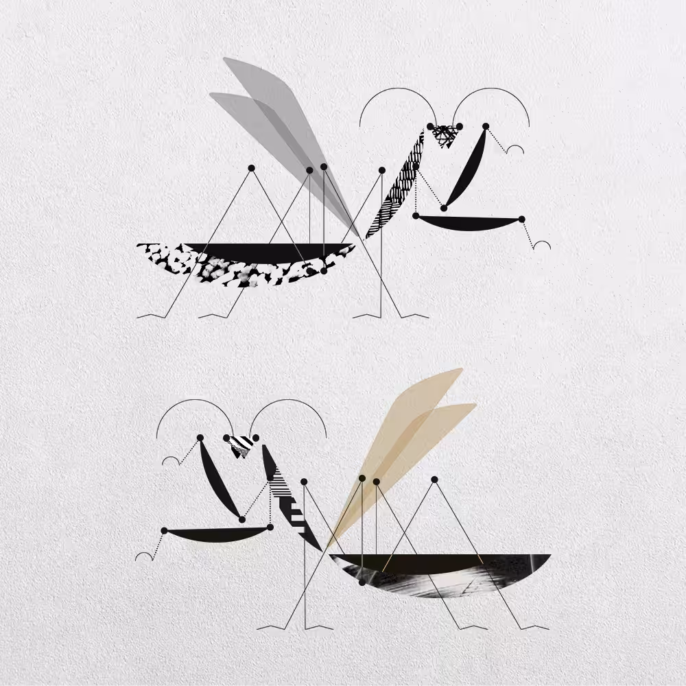 Mantis Abstraction #1