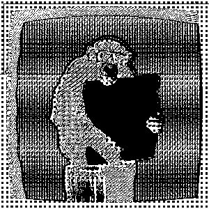 Culture Monke: Z++