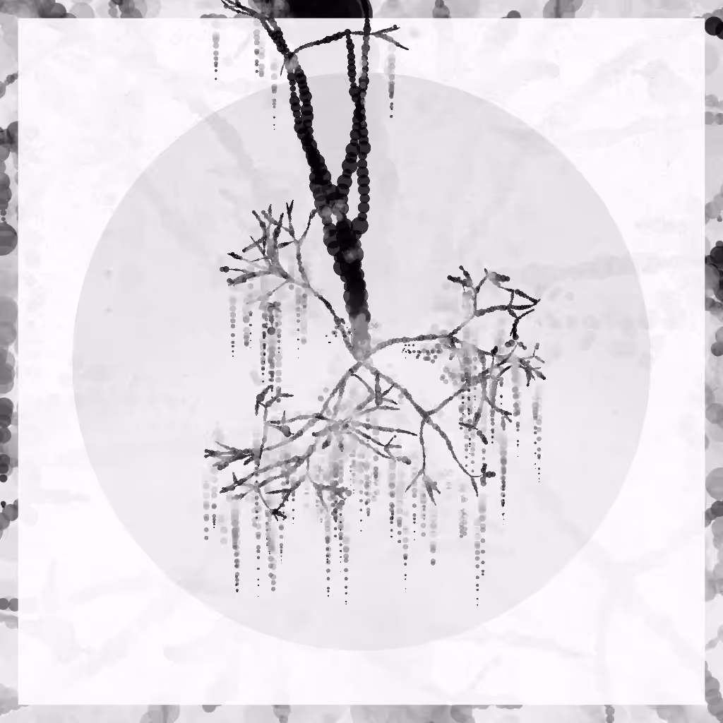 Blossom #30