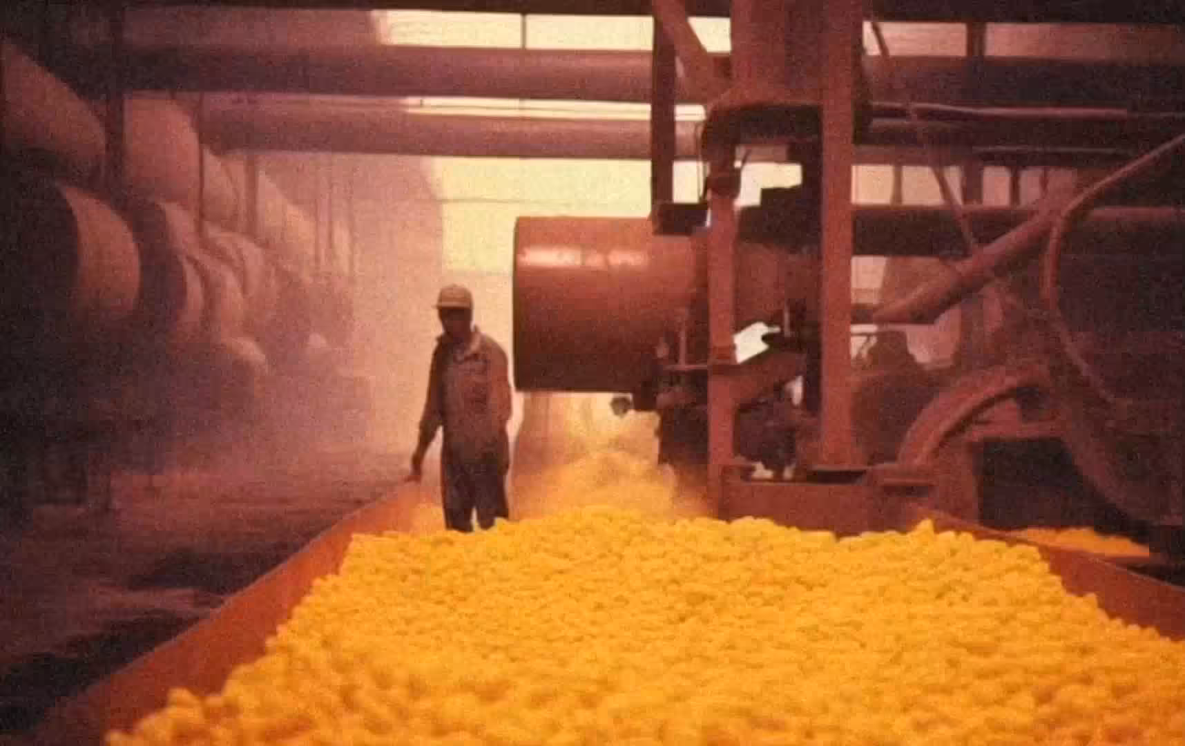 Running a Fever - Tales From the Peanut Factory