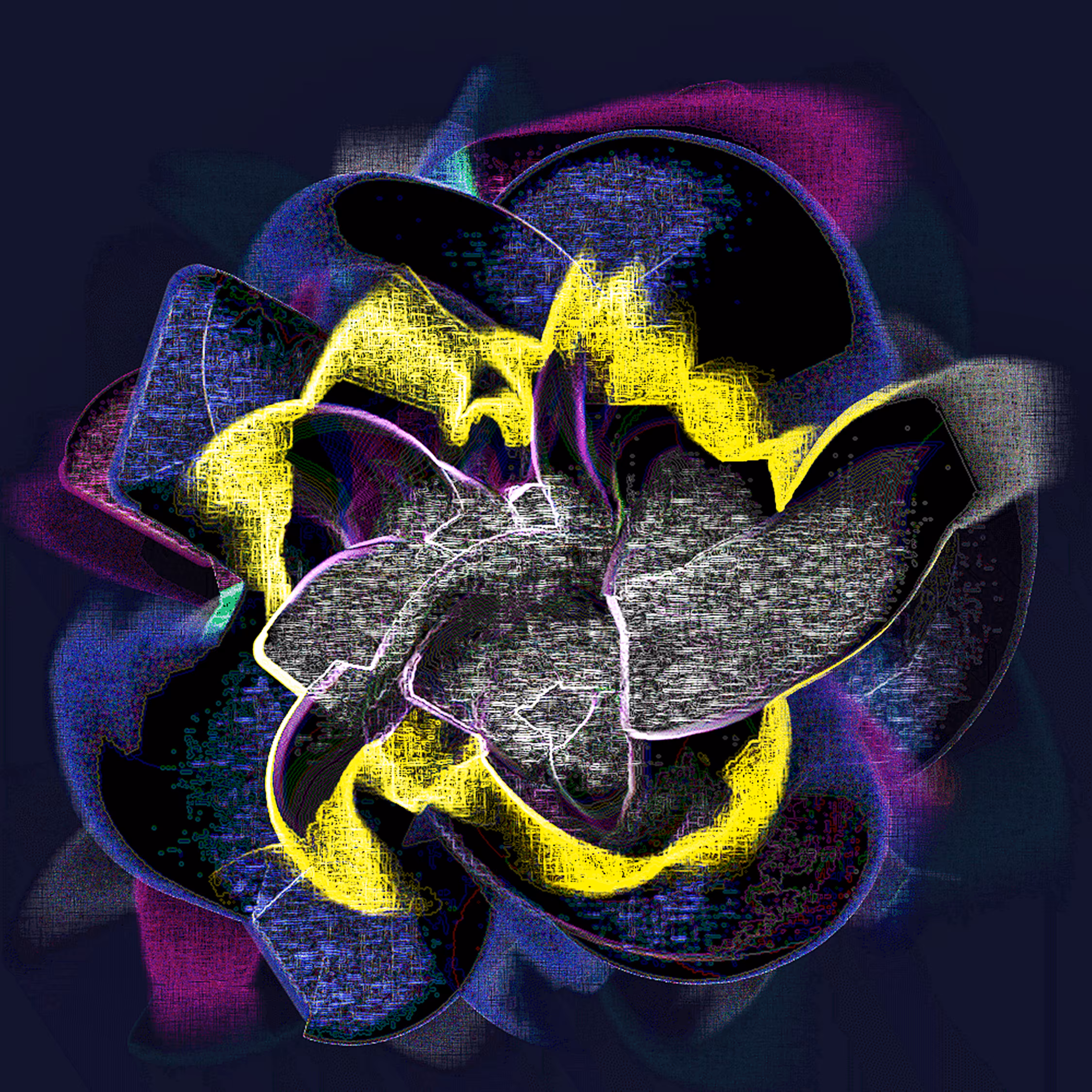 Solidarity has a million colors #1