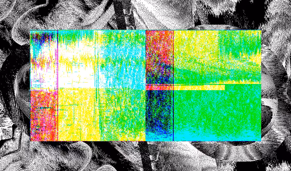 Love, Computer 019