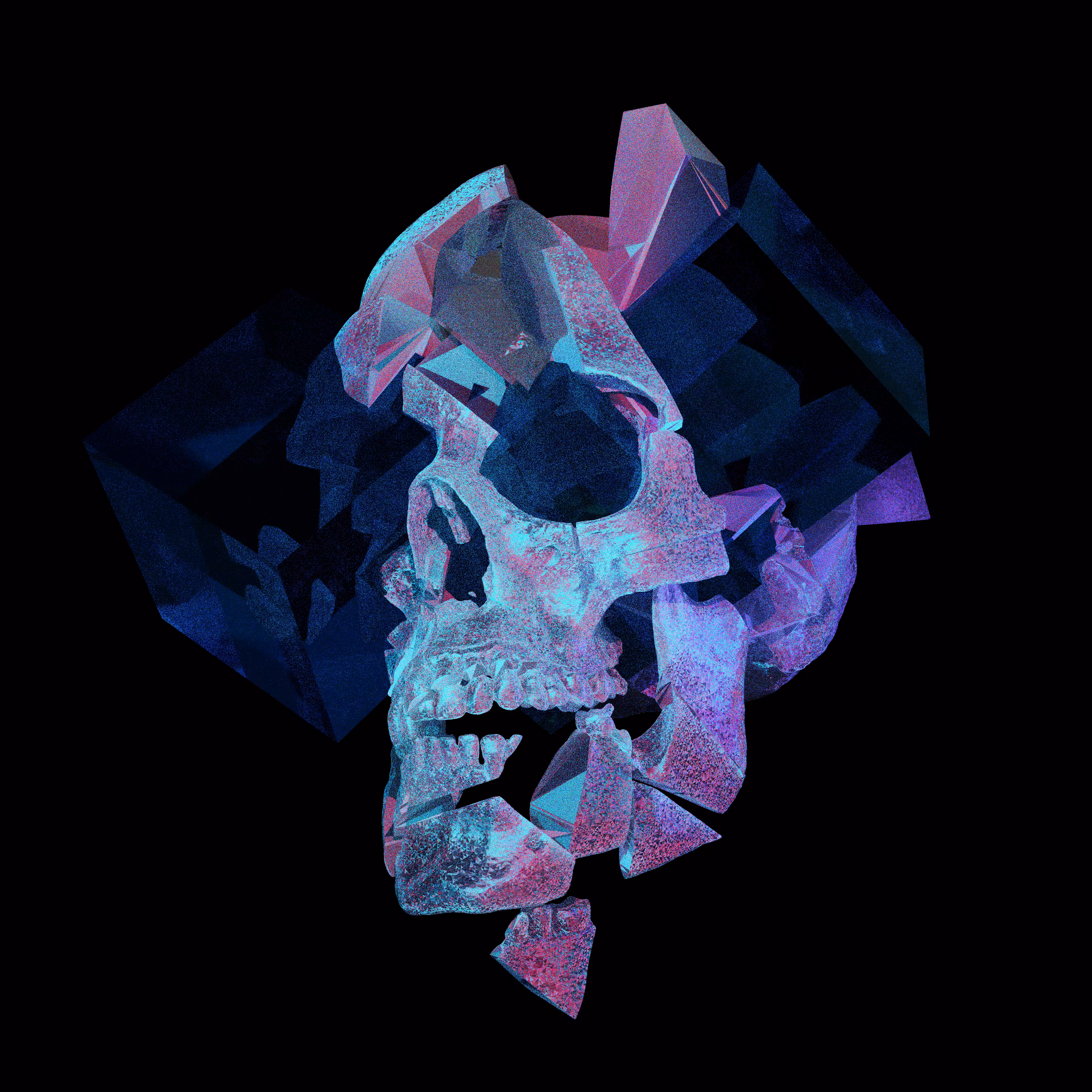 THE TENTH SKULL