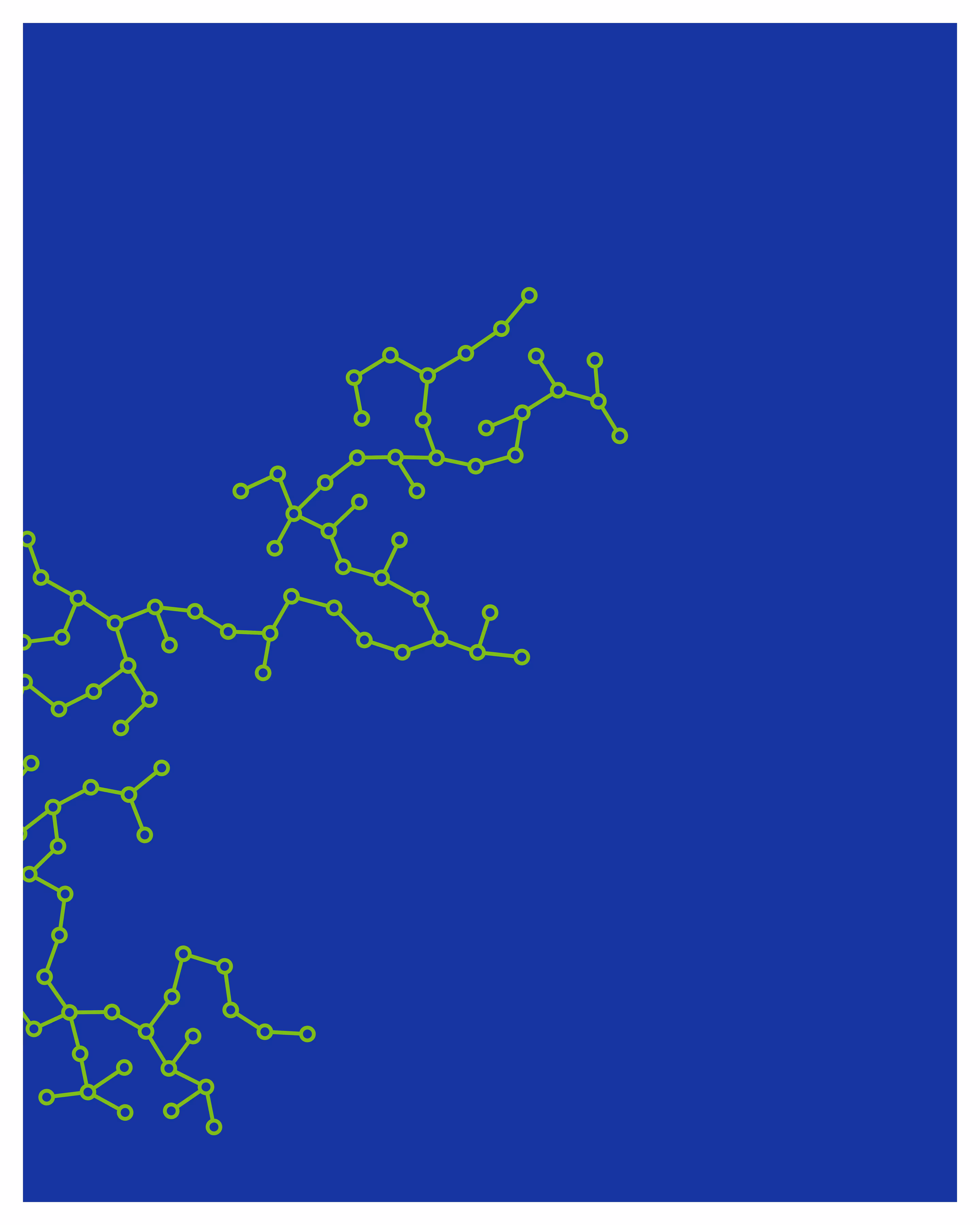 Networks #31