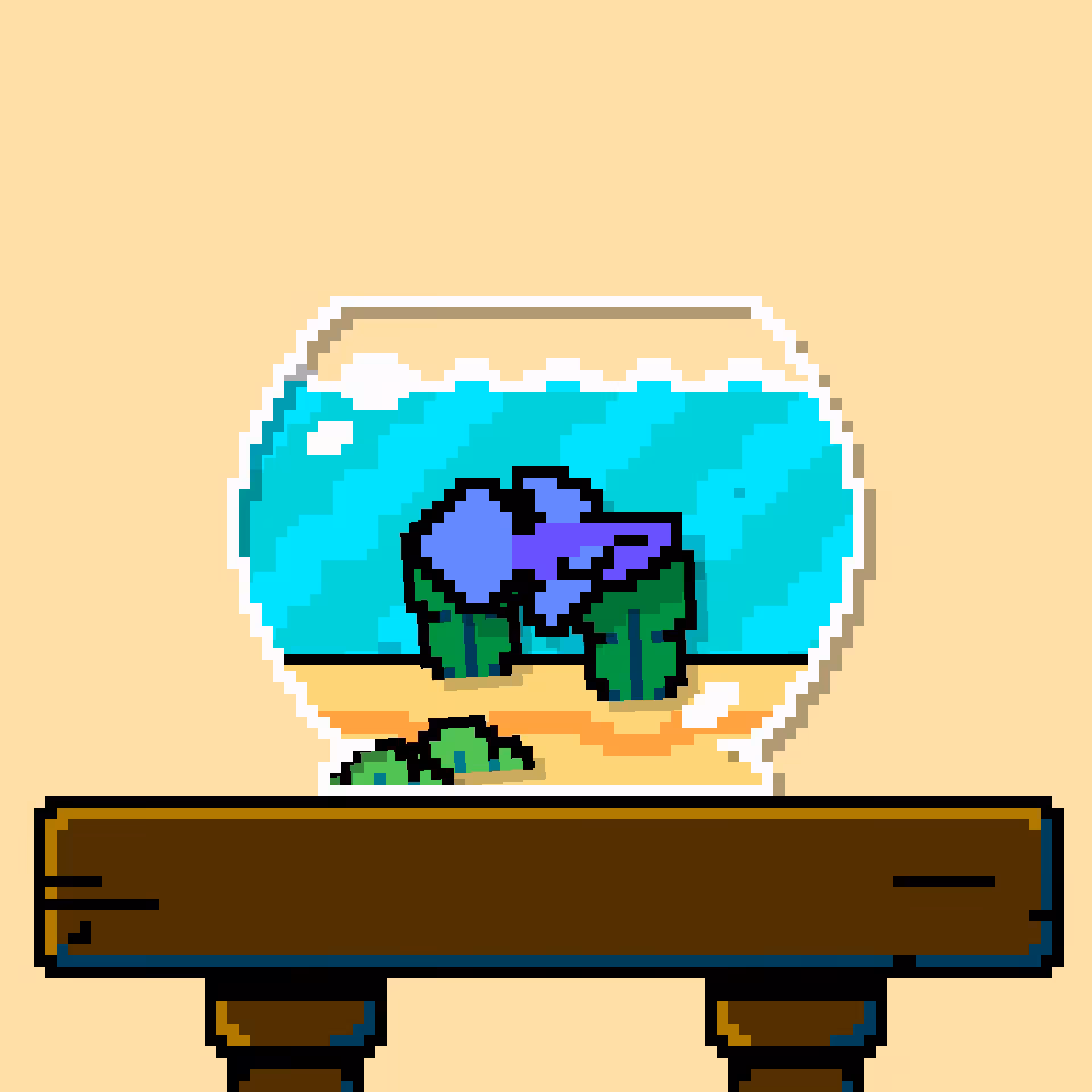 betta fish #504
