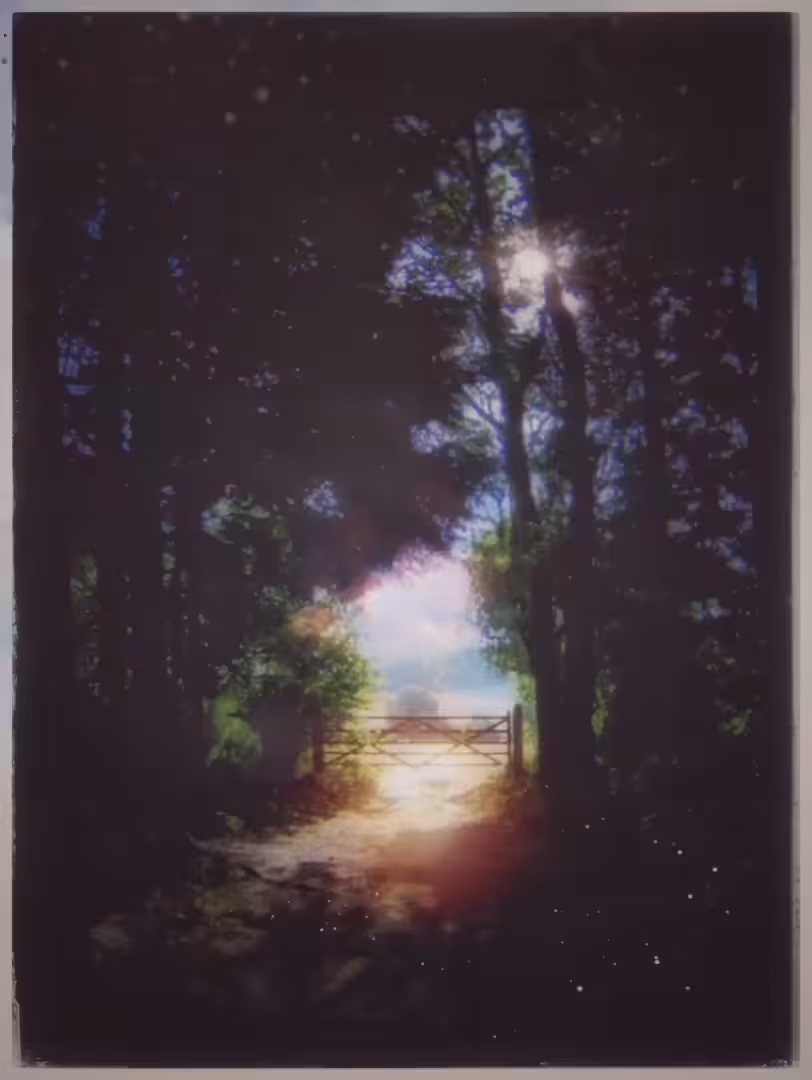 'the world beyond the gate'
