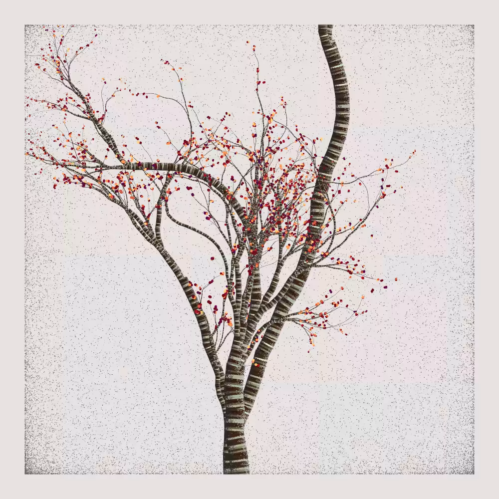 Bougainvillea #122