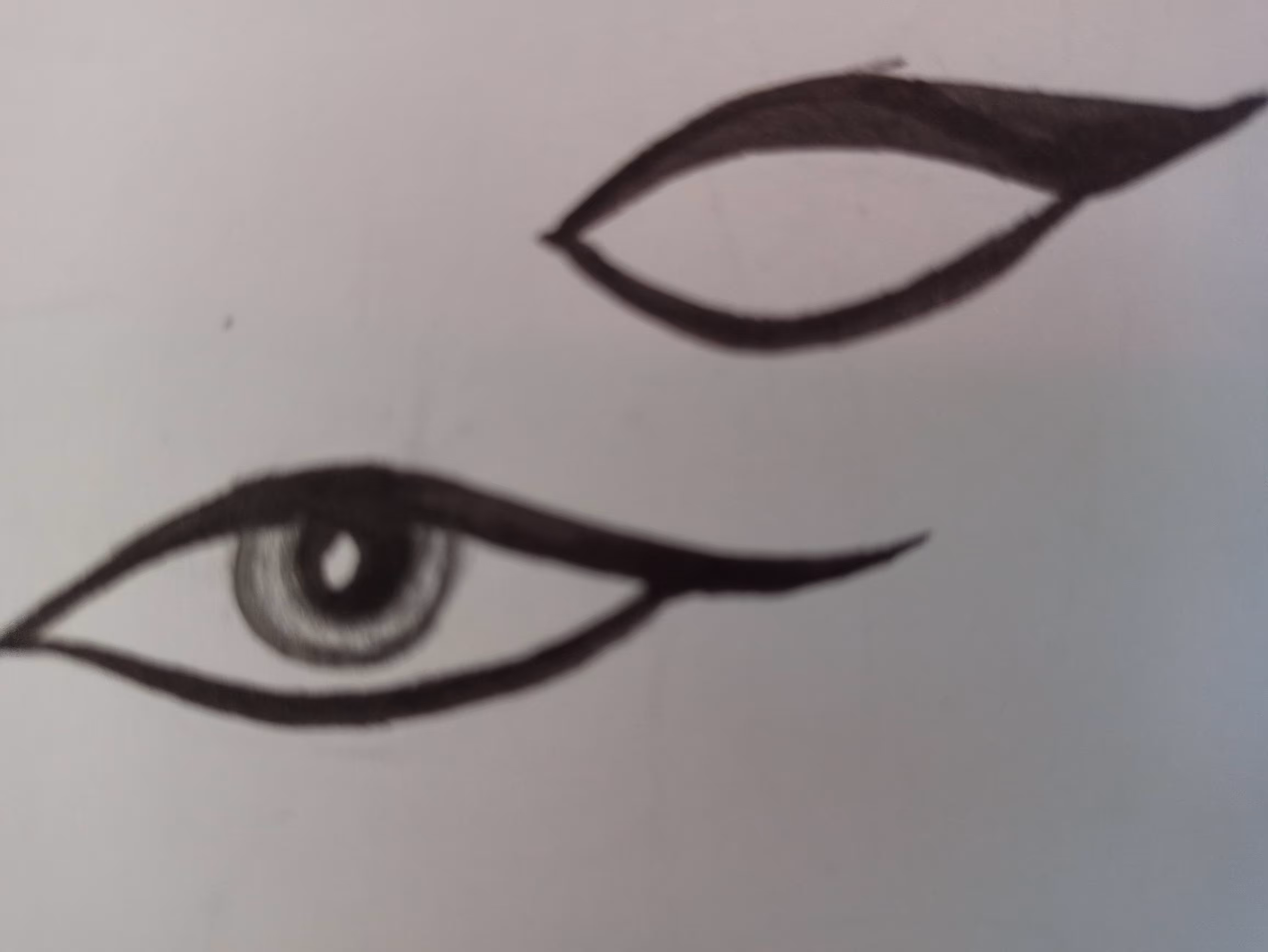 eye