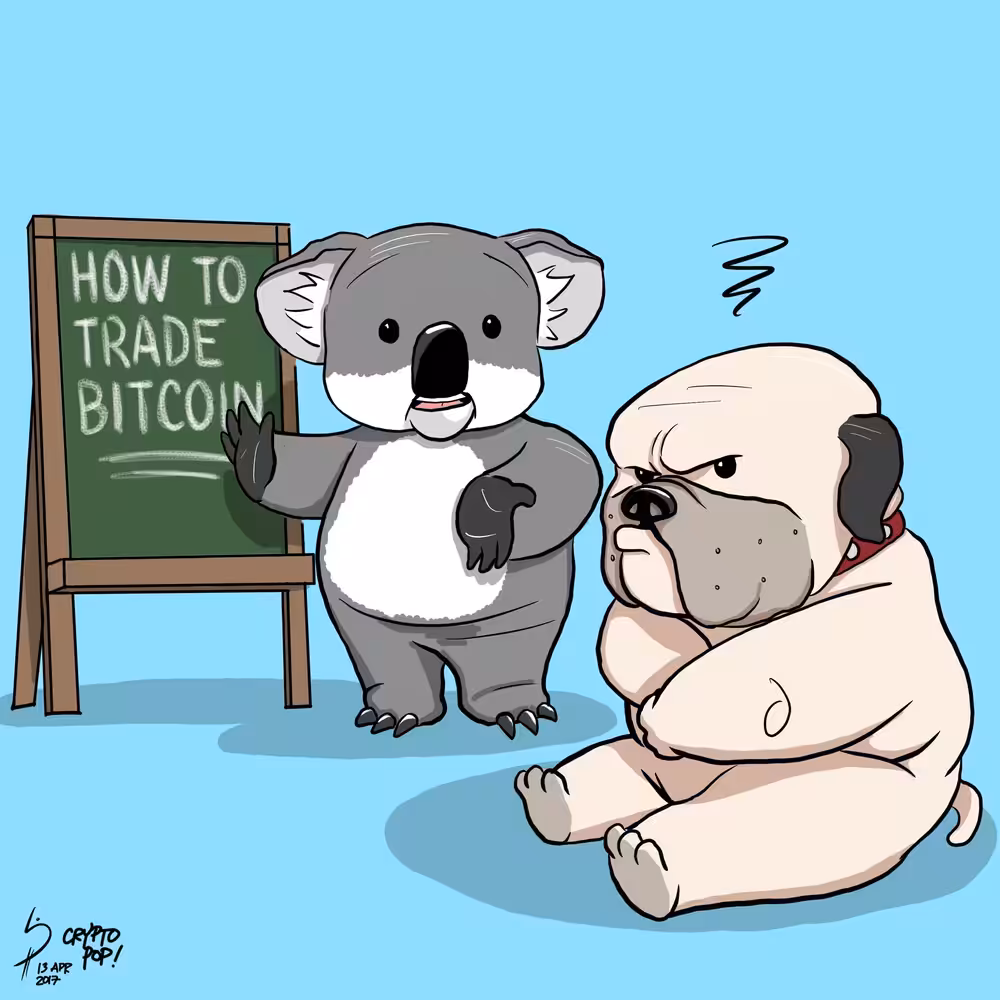 Bear Teaching Bull