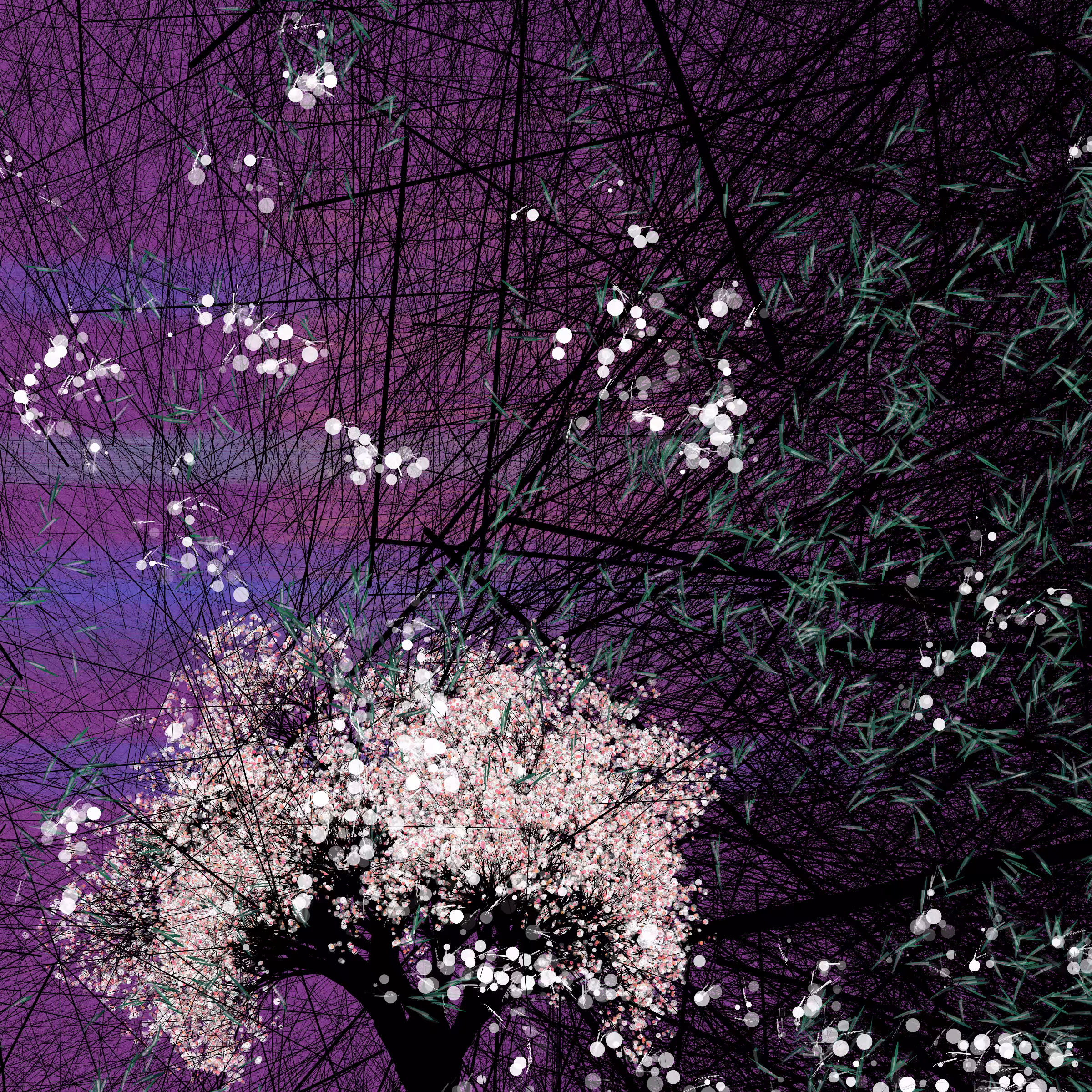 conversation with the wind #774