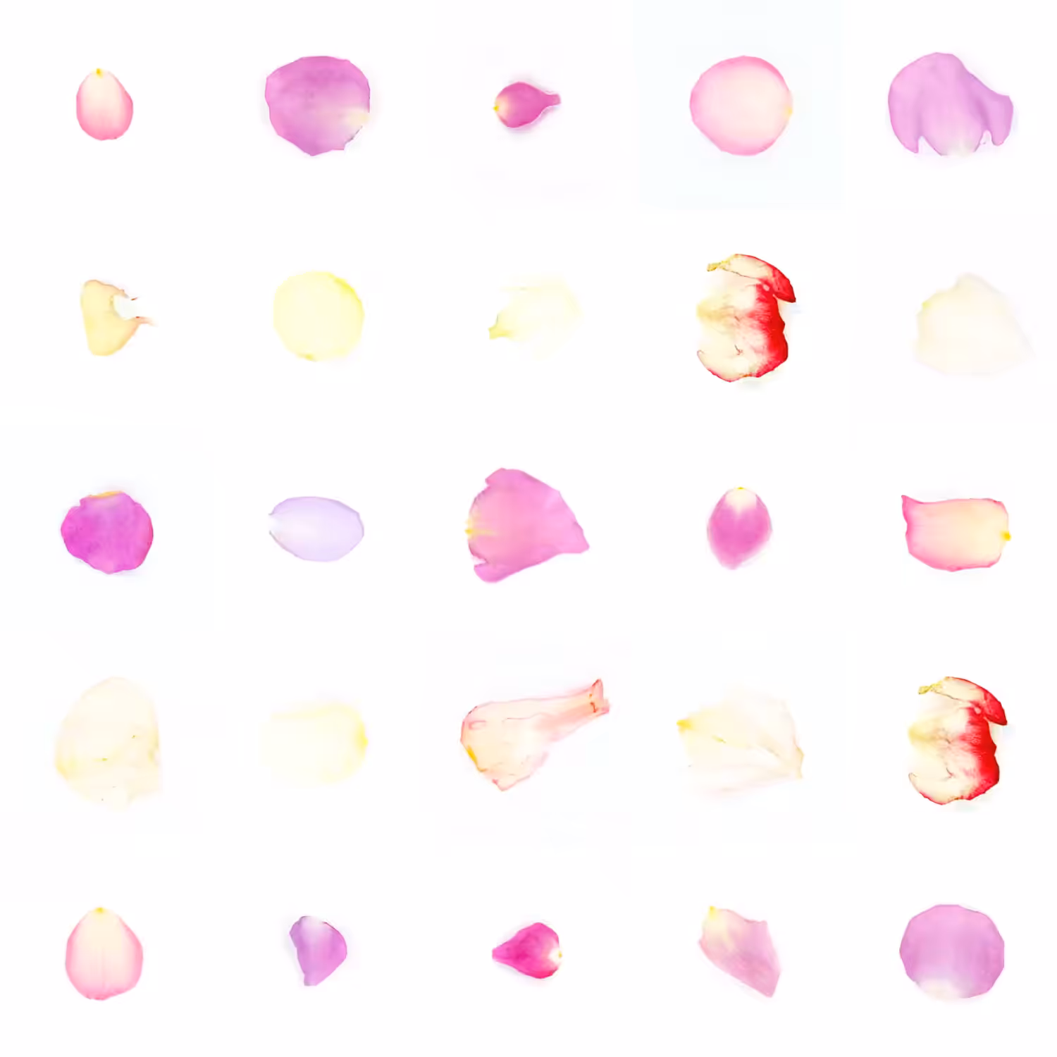 Infinite Petals 5x5#20337