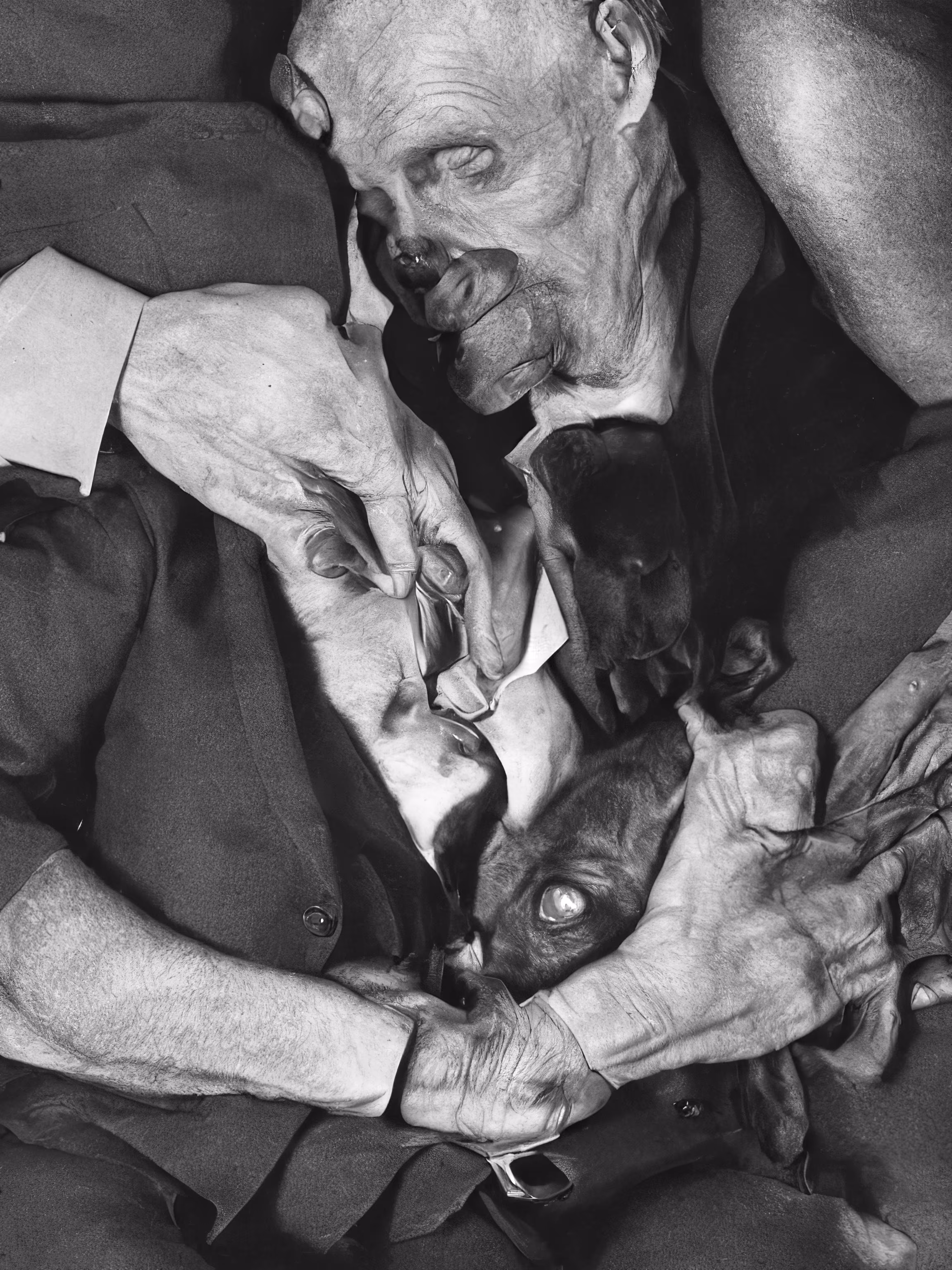 Old Man With Dog