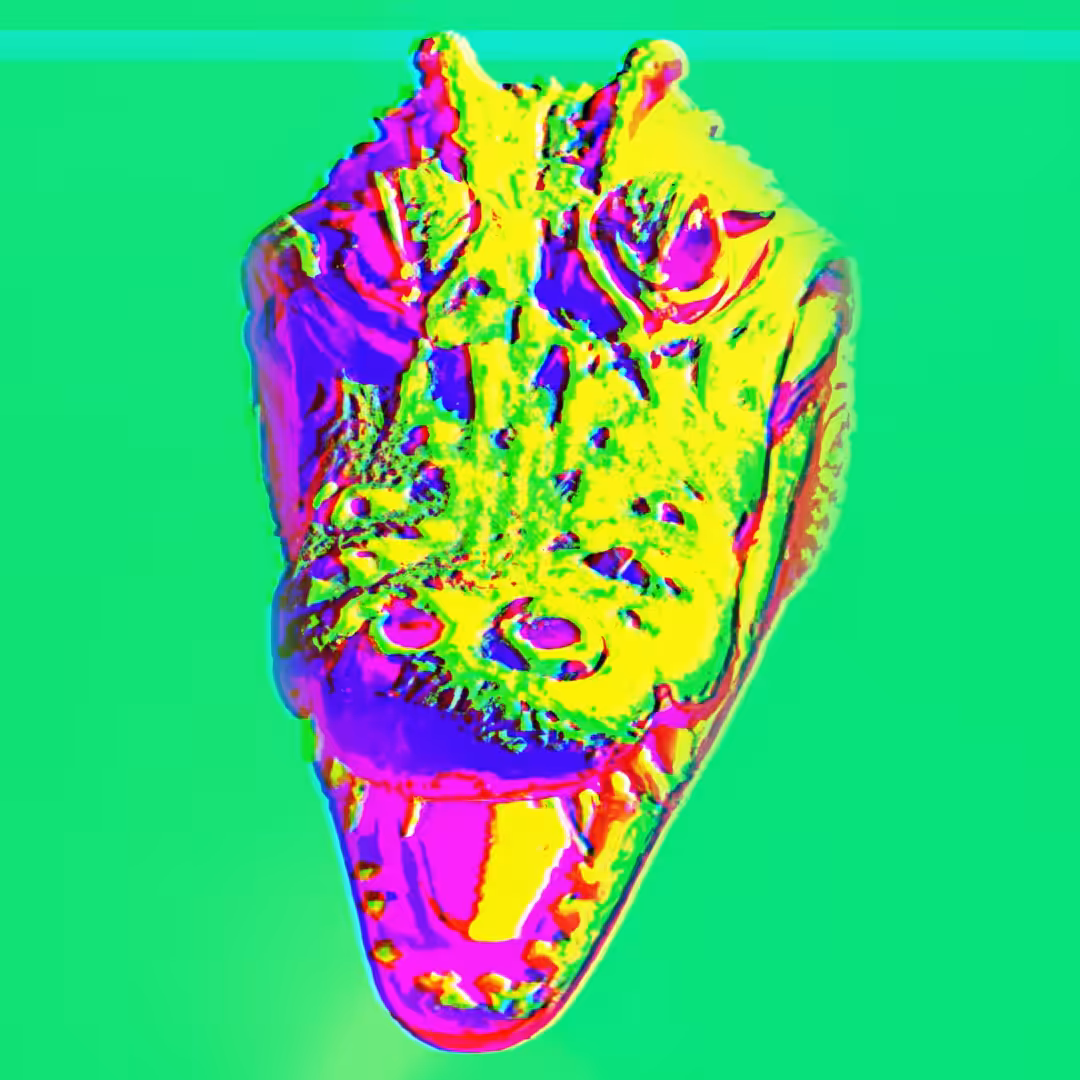 SPIRIT ANIMALS: ALLIGATOR - SA#47