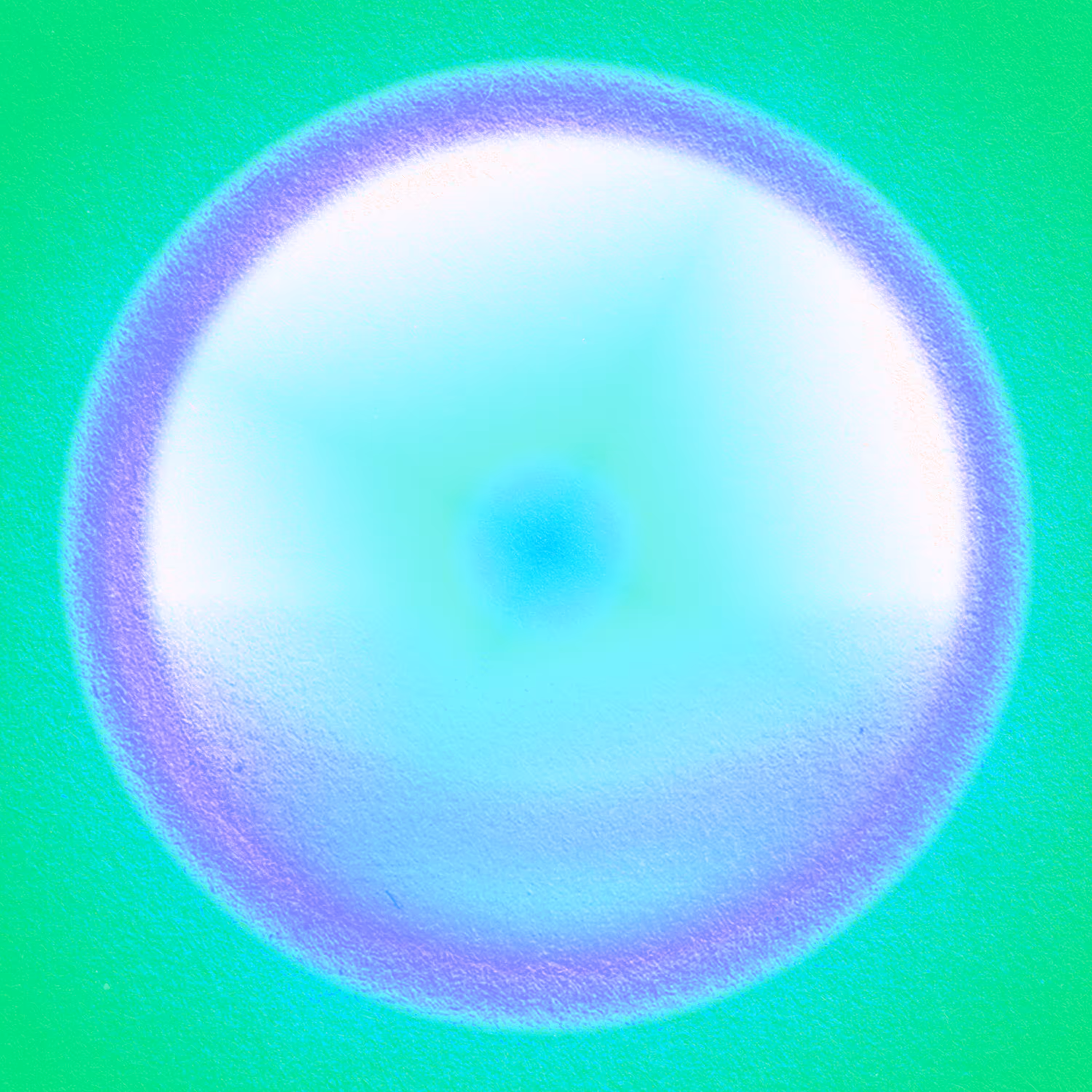 SPECTRUM 113