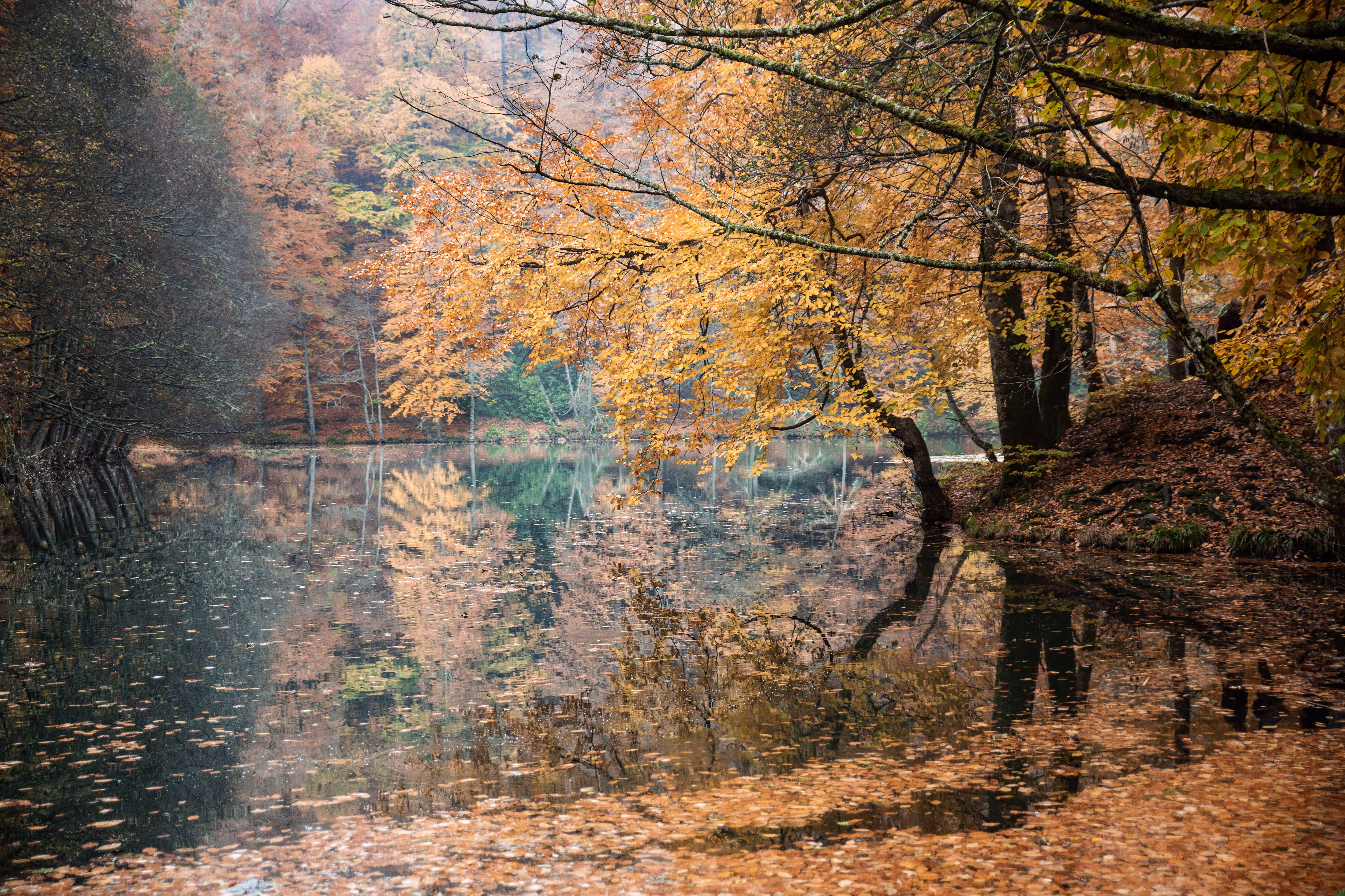 Colors Of Nature #9