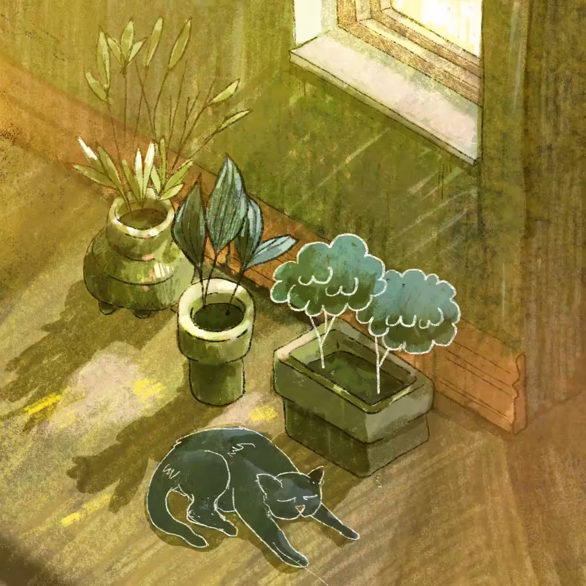 Lil Cat snoozing