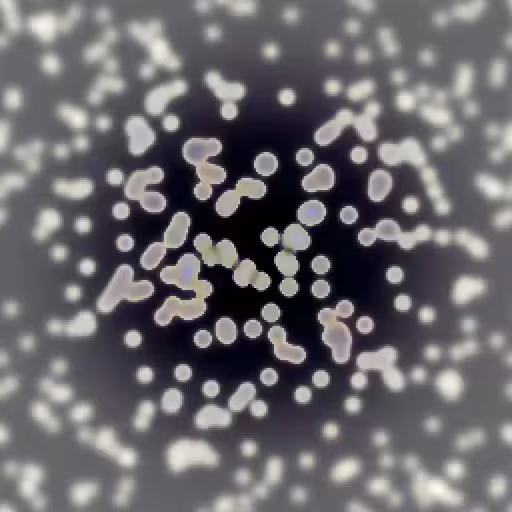 ALifeform N+2