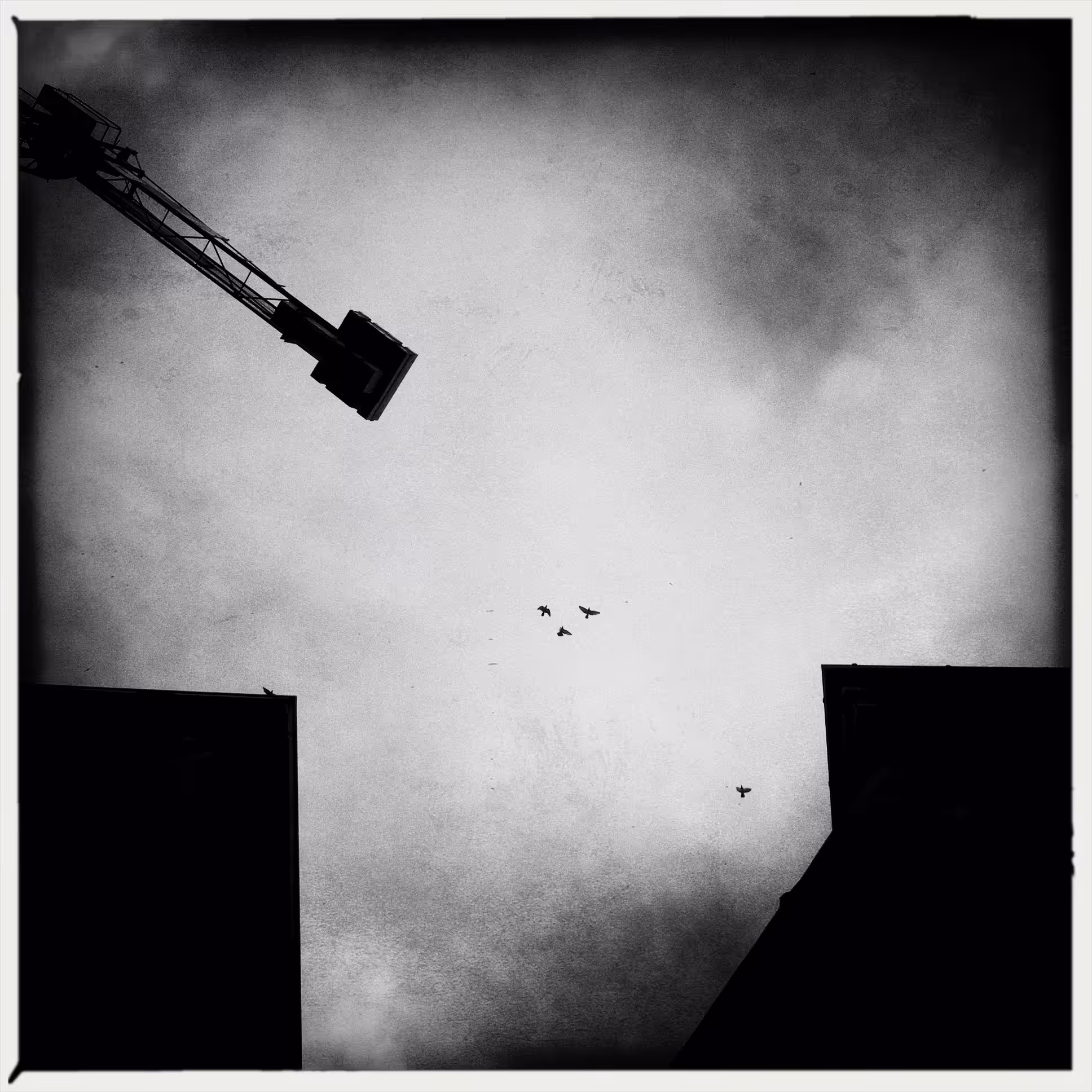 Look Up
