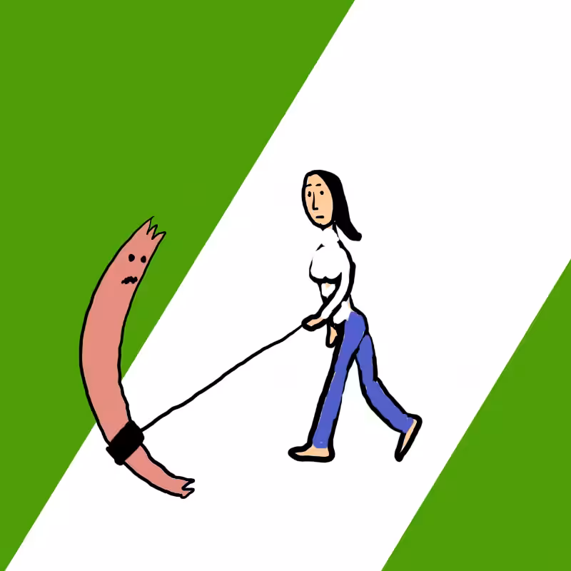 wALKING A DOG #53
