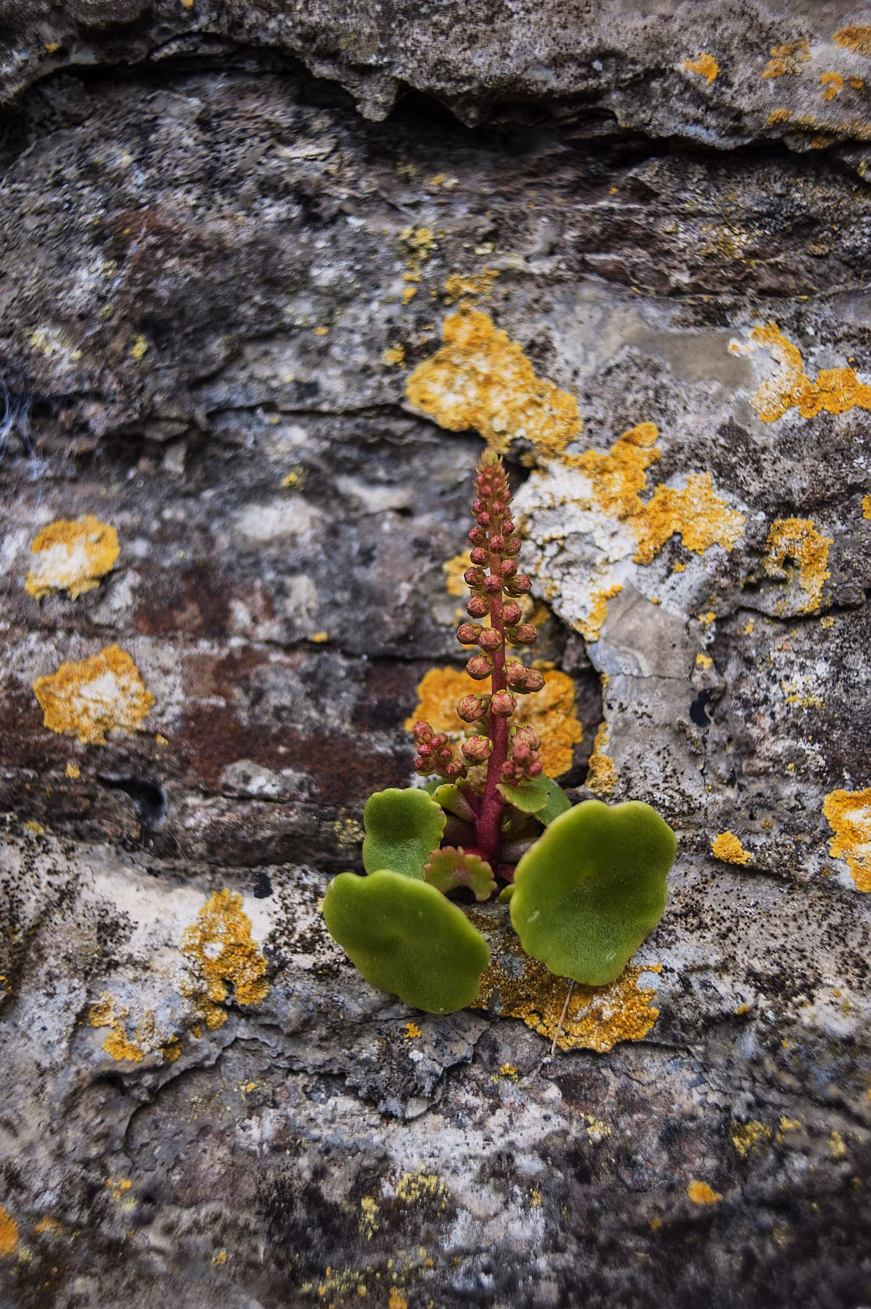 Resilience