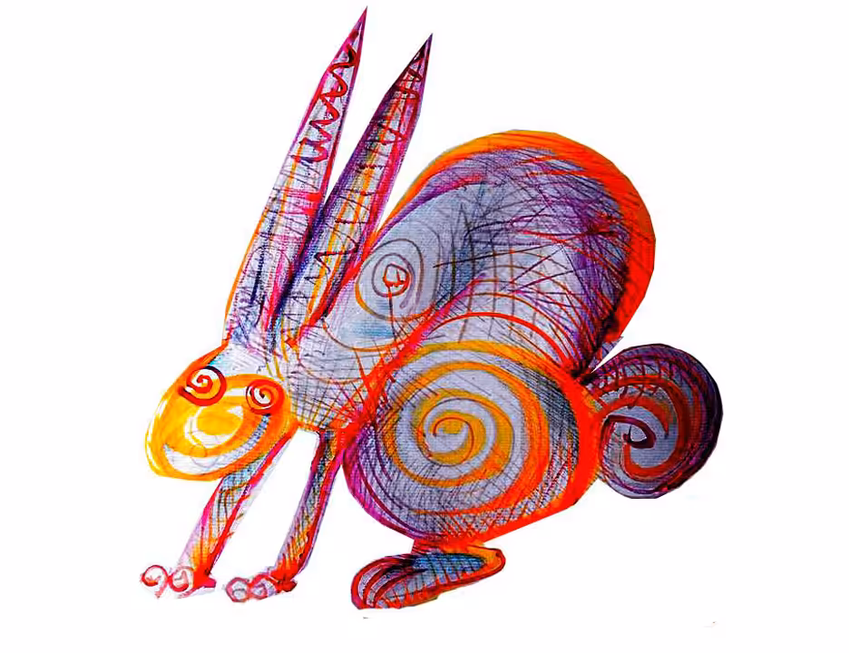 Non White Rabbit